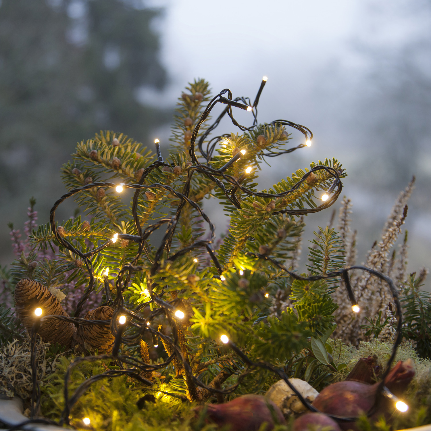 Lichterkette | Serie MICROLED 3mm | 18m | schwarzes Kabel | 180 warmweiße LEDs | Trafo Lichterkette | Serie MICROLED 3mm | 18m | schwarzes Kabel | 180 warmweiße LEDs | Trafo