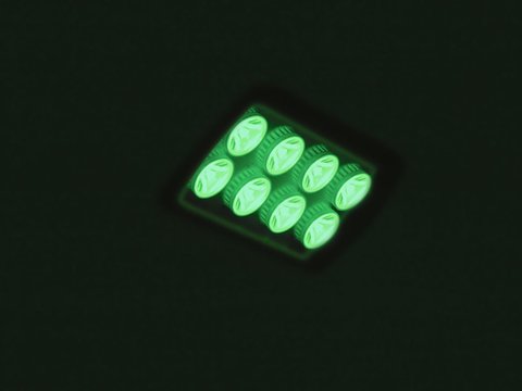 EUROLITE LED IP FL-8 | 30° | 8x1W | IP56 | grün - Fassandenstrahler - Flutlicht - Baumstrahler - Scheinwerfer EUROLITE LED IP FL-8 | 30° | 8x1W | IP56 | grün - Fassandenstrahler - Flutlicht - Baumstrahler - Scheinwerfer