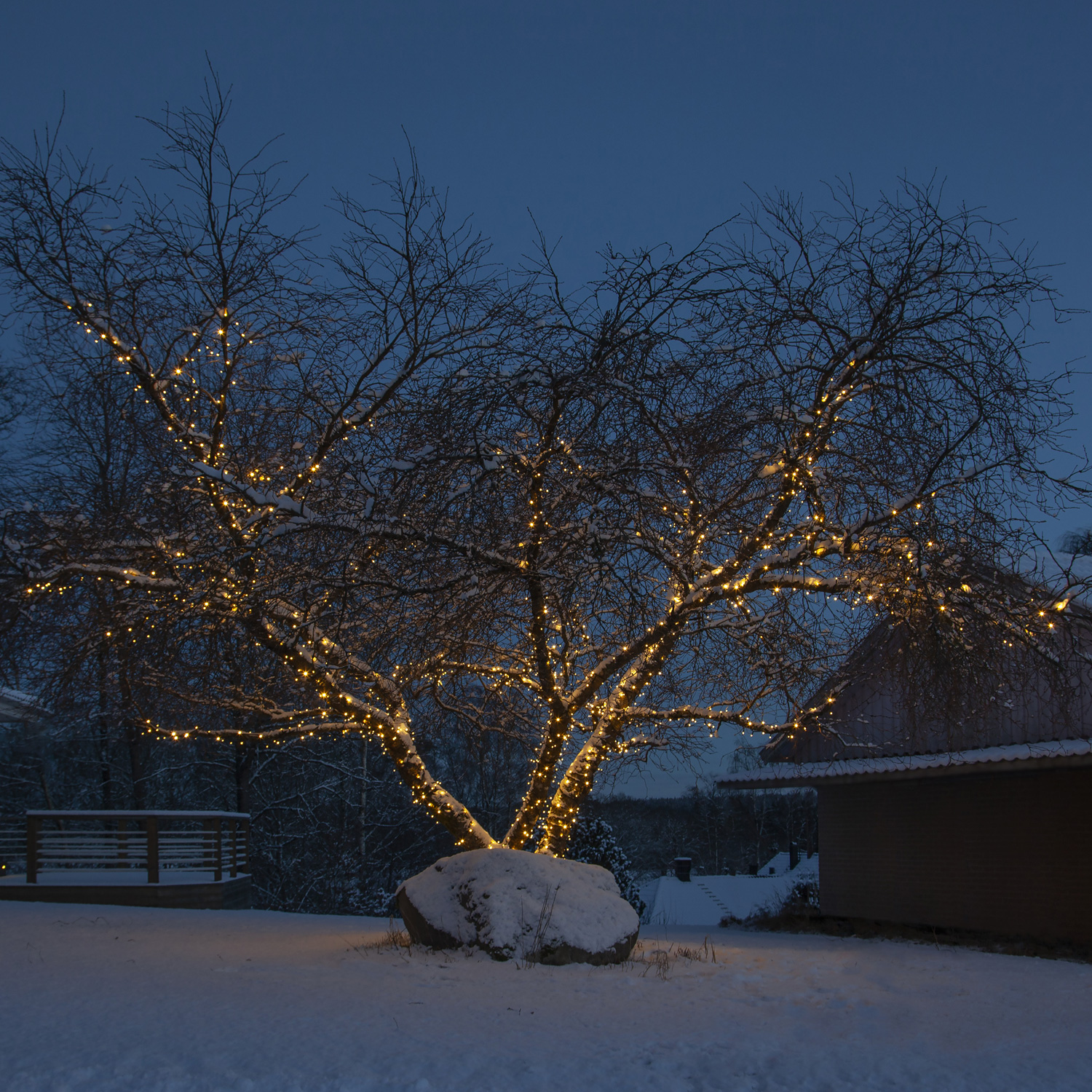 System 24 Starterset LED-Lichterkette - koppelbar - inkl. Trafo - 10.00m - 98x Warmweiß System 24 Starterset LED-Lichterkette - koppelbar - inkl. Trafo - 10.00m - 98x Warmweiß