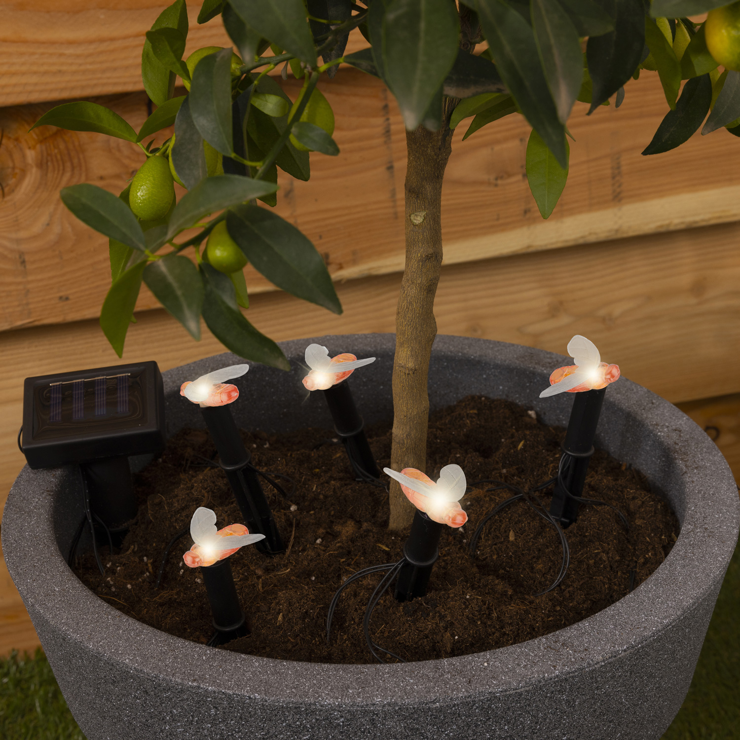 LED Solar Lichterkette Bienen - 5 warmweiße LED - L: 1,2m - H: 17cm - Lichtsensor - für Außen LED Solar Lichterkette Bienen - 5 warmweiße LED - L: 1,2m - H: 17cm - Lichtsensor - für Außen