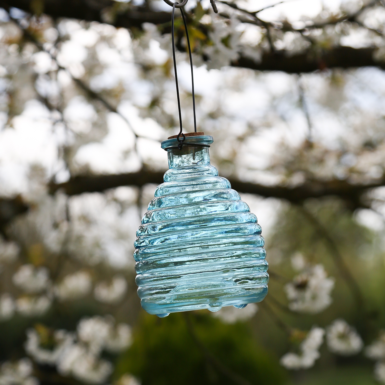 Wespenfänger HONIGTOPF - Wespenfalle - geriffeltes Glas - D: 13cm - H: 17cm