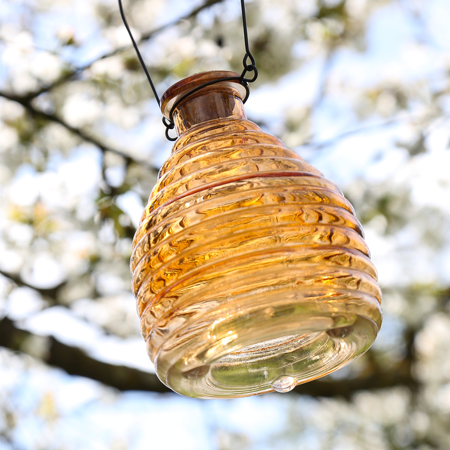 Wespenfänger HONIGTOPF - Wespenfalle - geriffeltes Glas - D: 13cm - H: 17cm