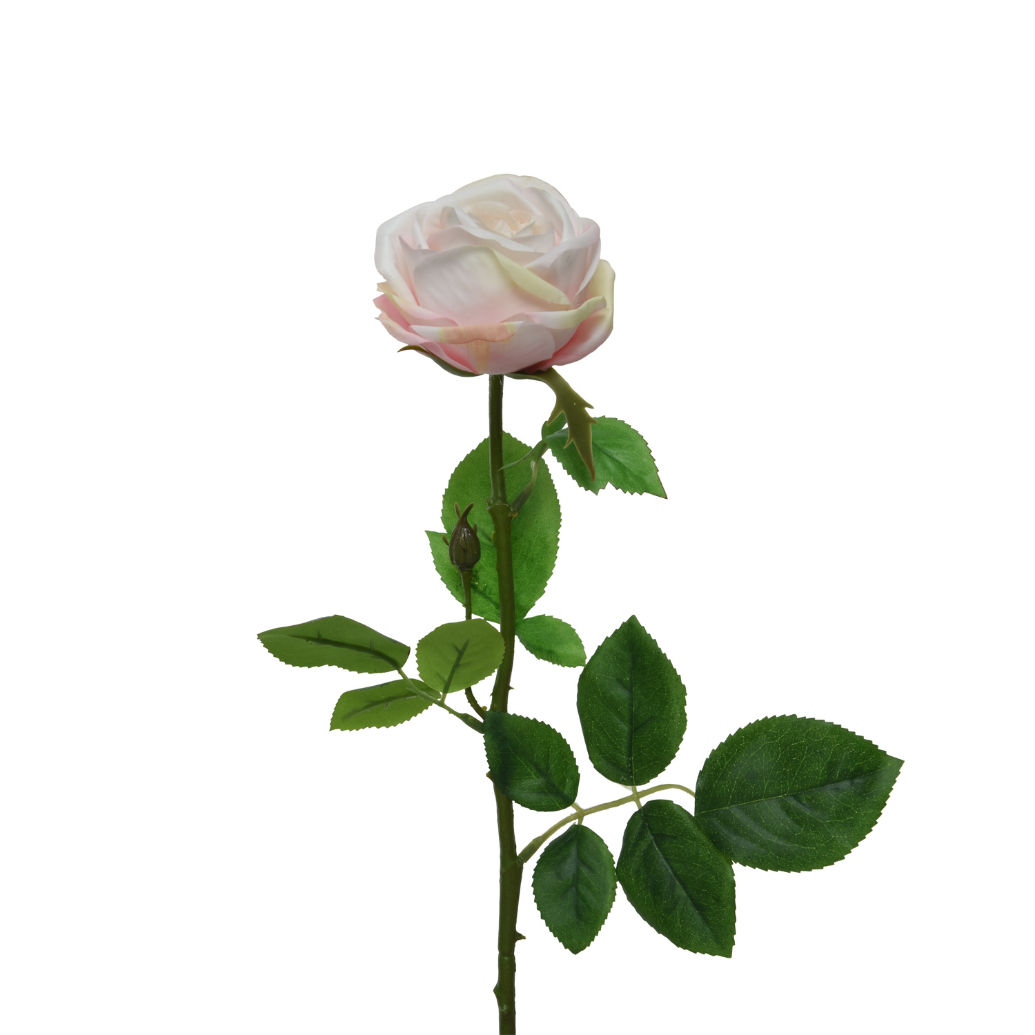 Rose am Stiel - Kunstblume - Real Touch Oberfläche - H: 66cm - beige/creme Rose am Stiel - Kunstblume - Real Touch Oberfläche - H: 66cm - beige/creme