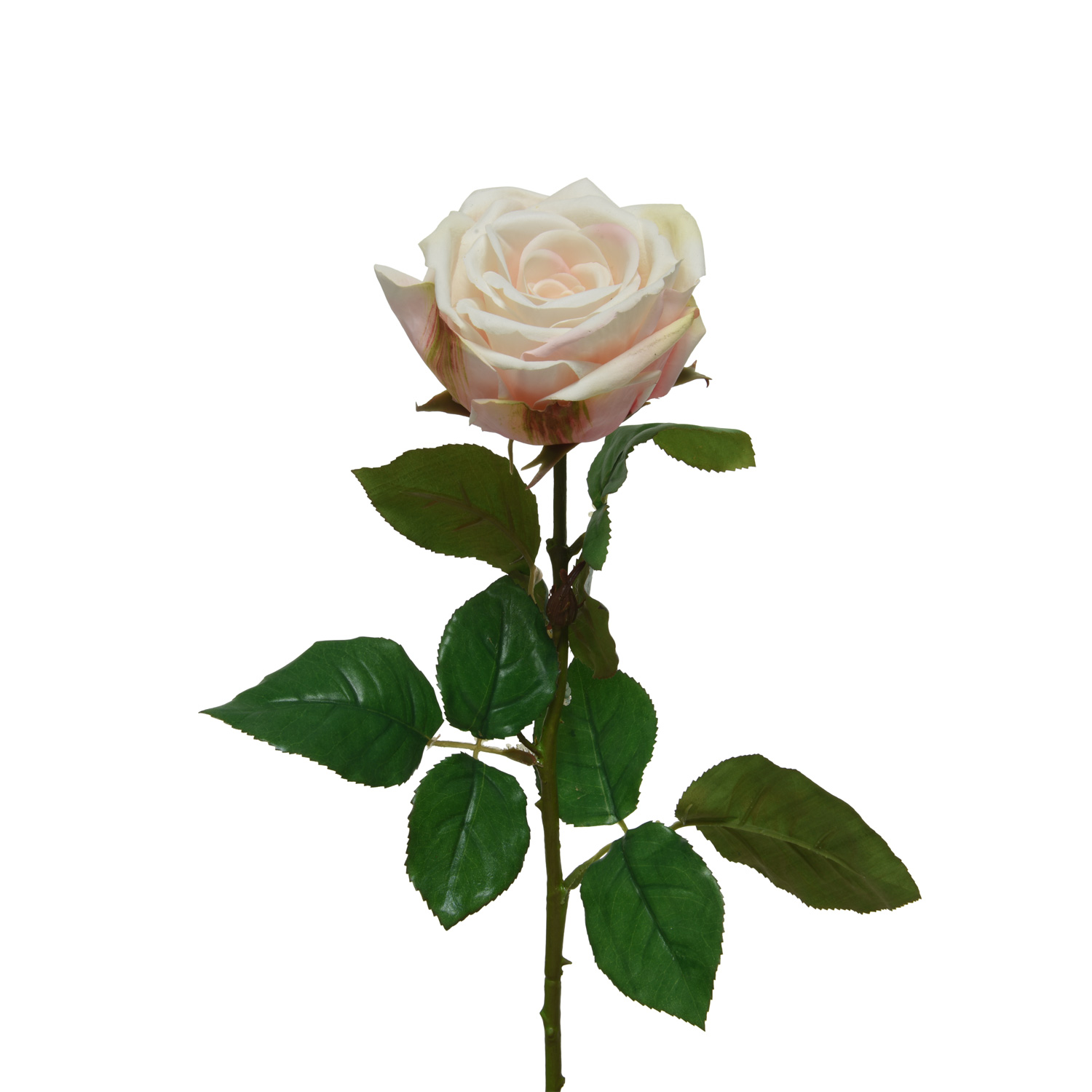 Rose am Stiel - Kunstblume - Real Touch Oberfläche - H: 68cm - creme Rose am Stiel - Kunstblume - Real Touch Oberfläche - H: 68cm - creme