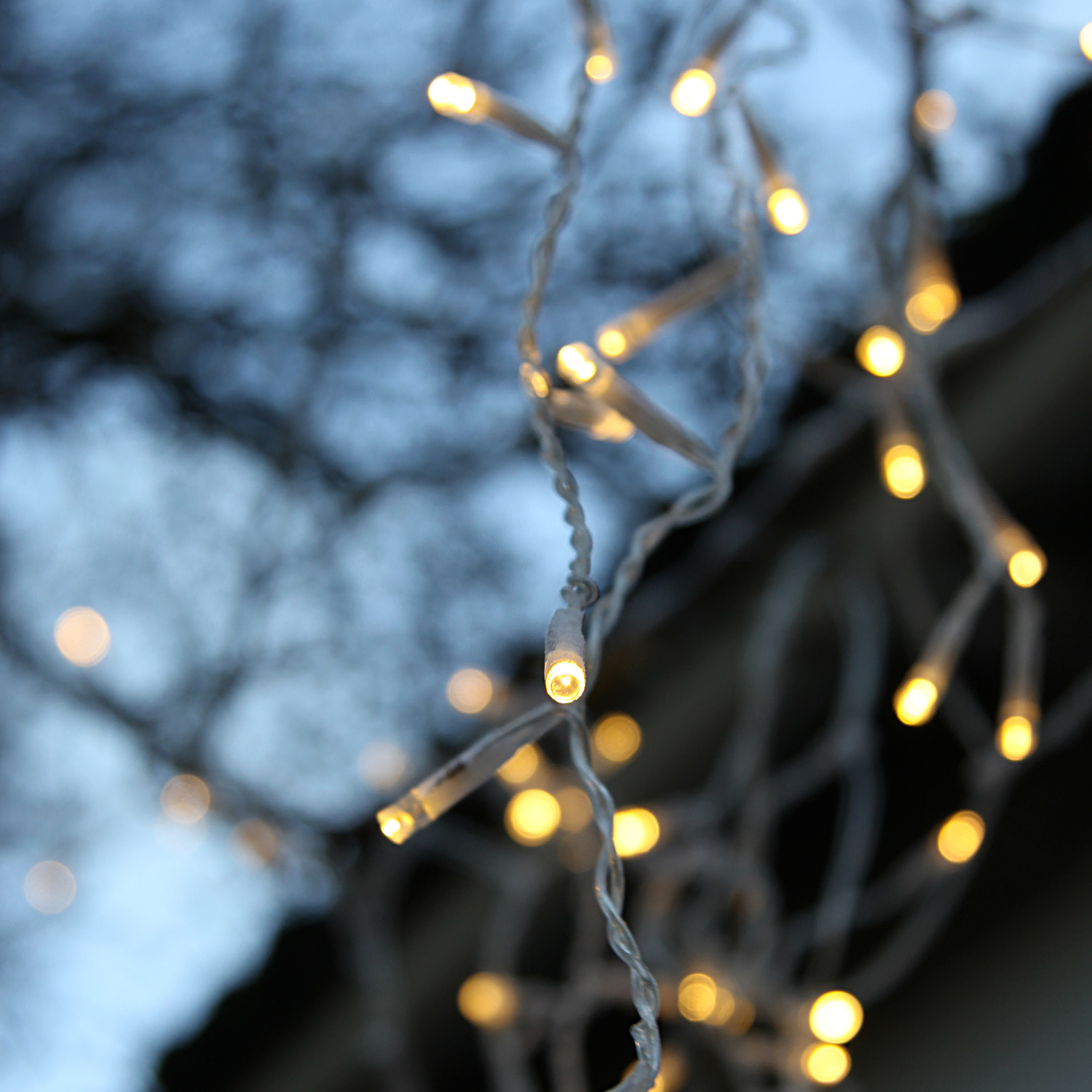 LED-Lichterkette | BATT | Outdoor | Batterie | Transparentes Kabel | 50 warmweiße LED | 7,5m | TIMER