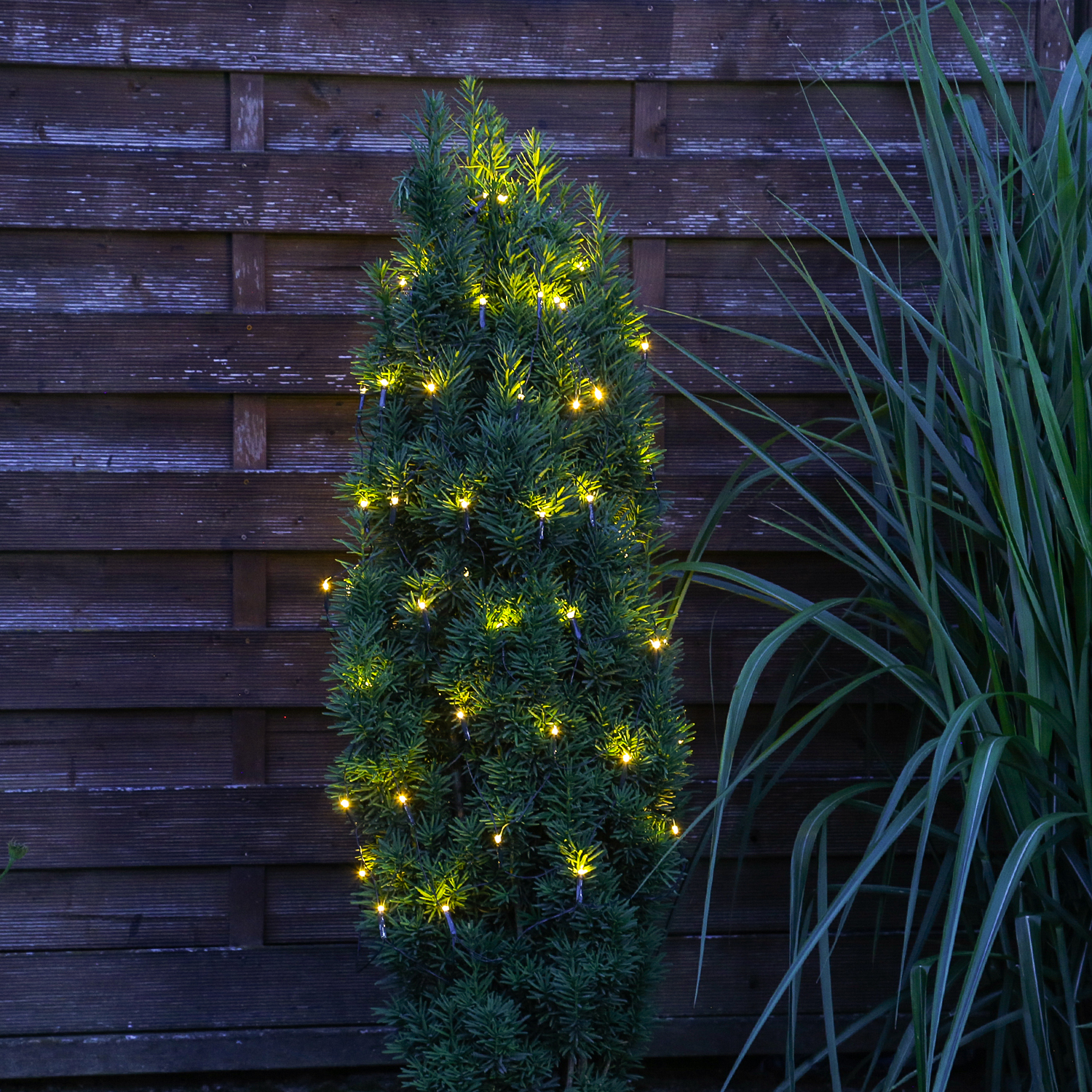 LED Lichternetz Buchsbaum - Blinkfunktion - 60 warmweiße/bernstein LED - D: 35cm - transparent