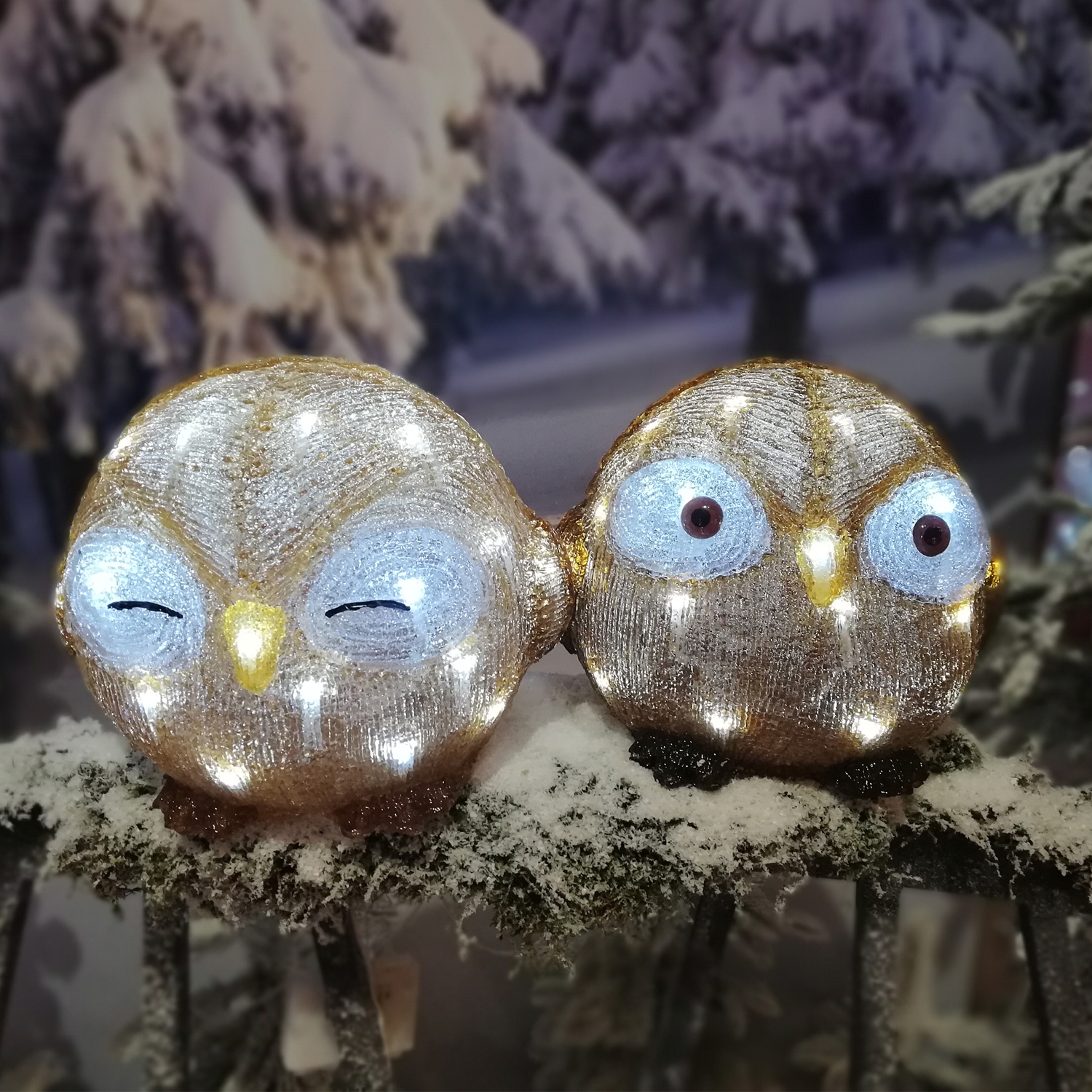 LED Eule mit offenen Augen - Acryl Tierfigur - 30 kaltweisse LED - H- 21cm - Timer - Batteriebetrieb LED Eule mit offenen Augen - Acryl Tierfigur - 30 kaltweisse LED - H- 21cm - Timer - Batteriebetrieb