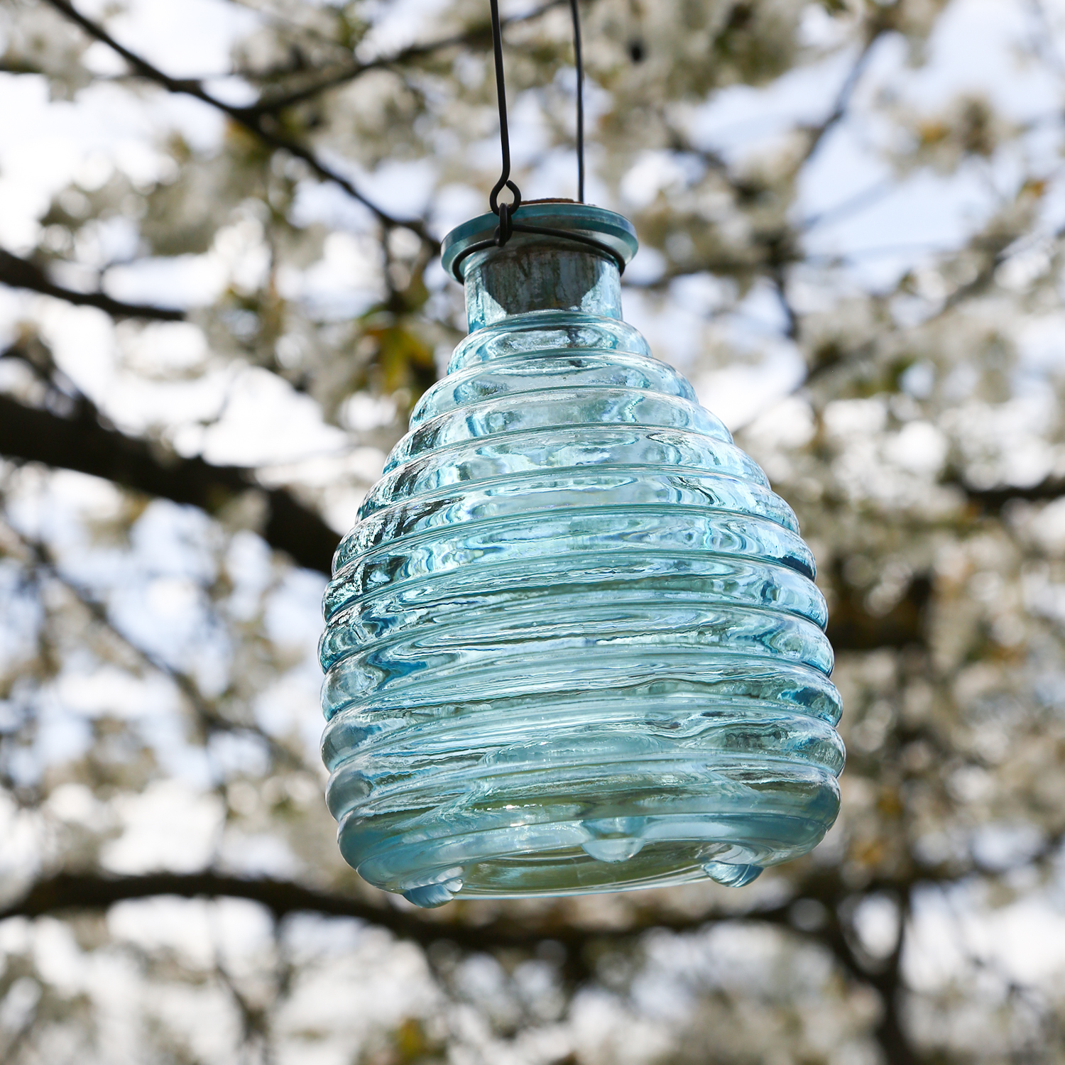 Wespenfänger HONIGTOPF - Wespenfalle - geriffeltes Glas - D: 13cm - H: 17cm