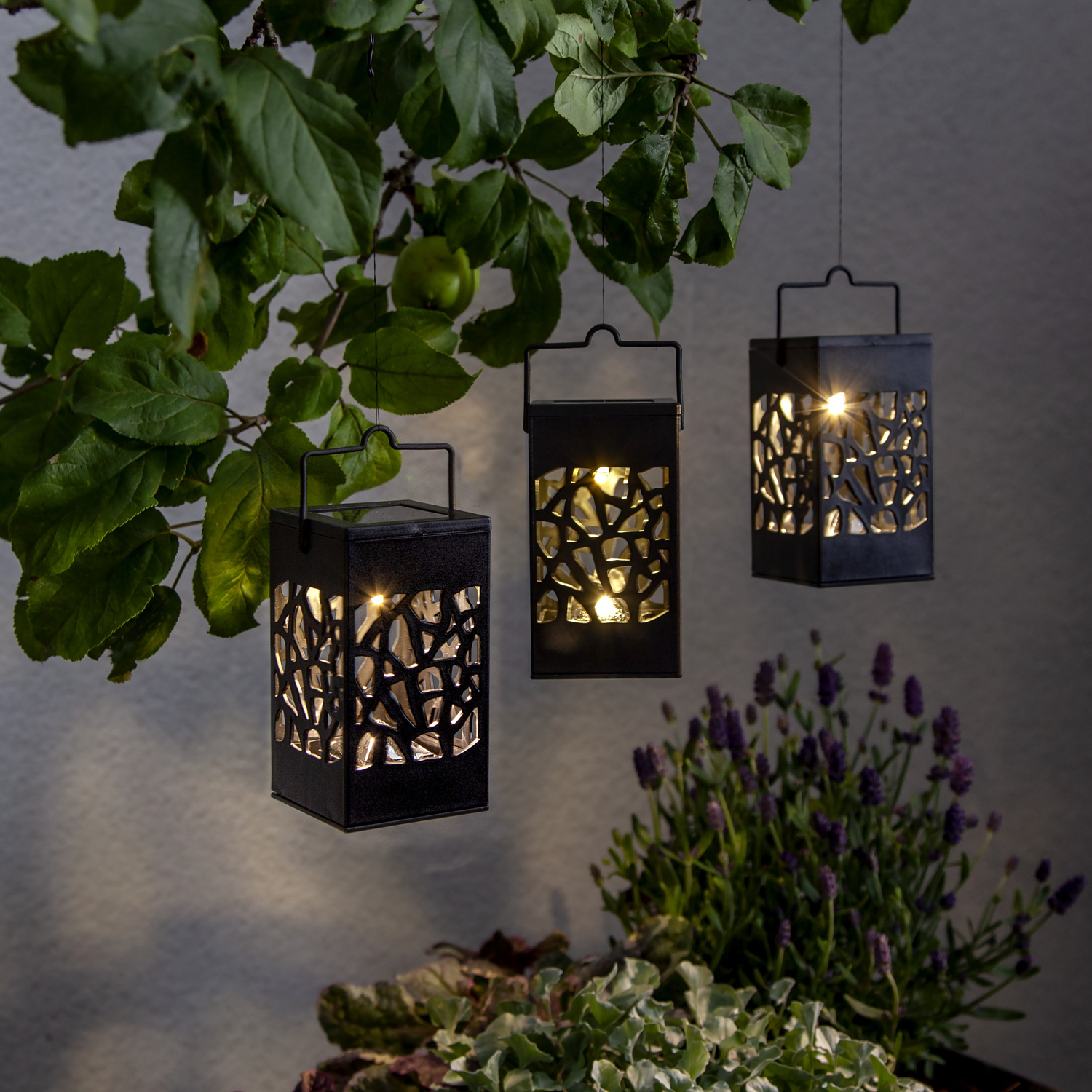 LED Solar Laternen Izola - zum Hängen o. Stellen - warmweiße LED - H: 11cm - Lichtsensor - 3er Set LED Solar Laternen Izola - zum Hängen o. Stellen - warmweiße LED - H: 11cm - Lichtsensor - 3er Set