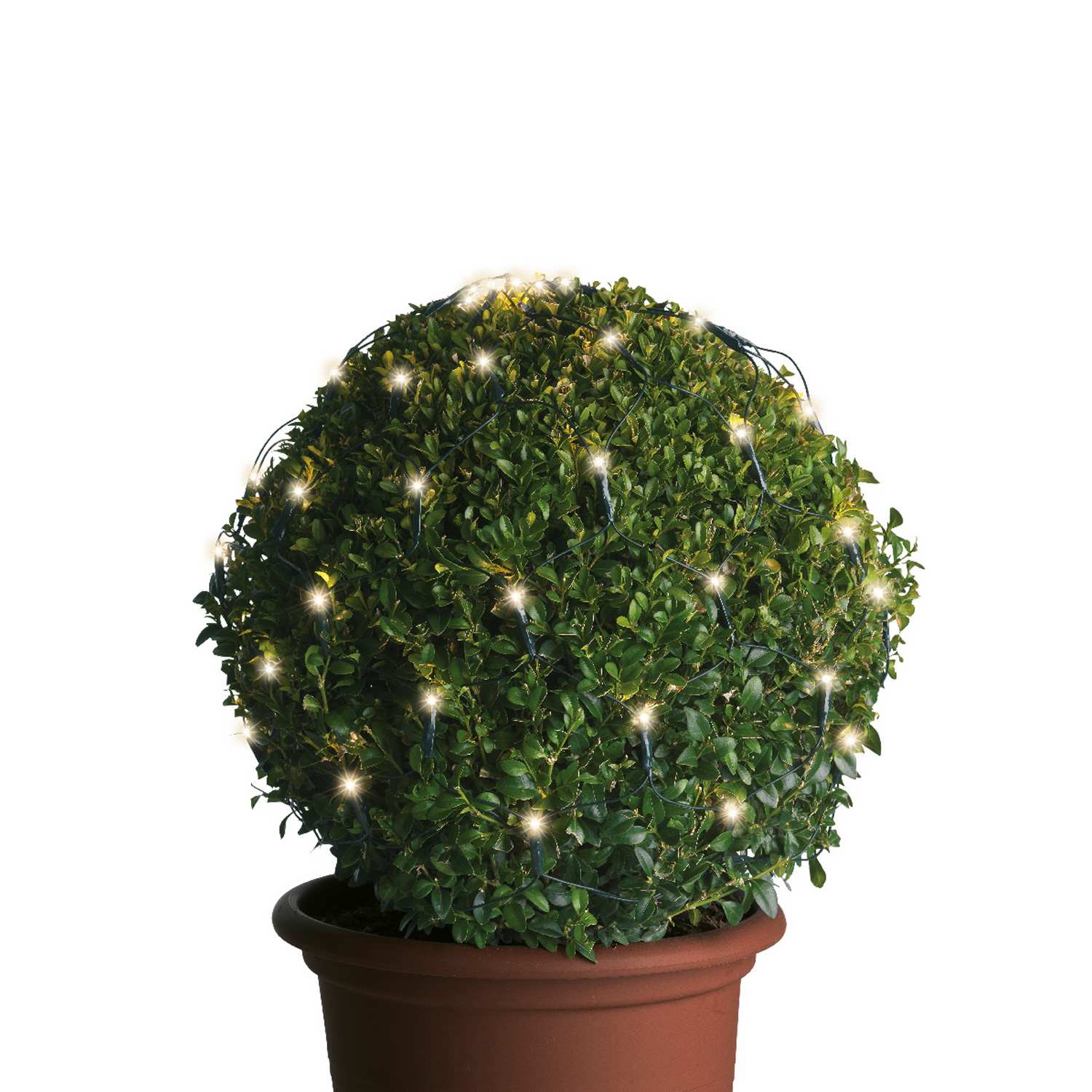 LED Lichternetz für Buchsbaum - Kugelnetz - 80 warmweiße LED - 24V Außentrafo - D: 50cm - grün LED Lichternetz für Buchsbaum - Kugelnetz - 80 warmweiße LED - 24V Außentrafo - D: 50cm - grün
