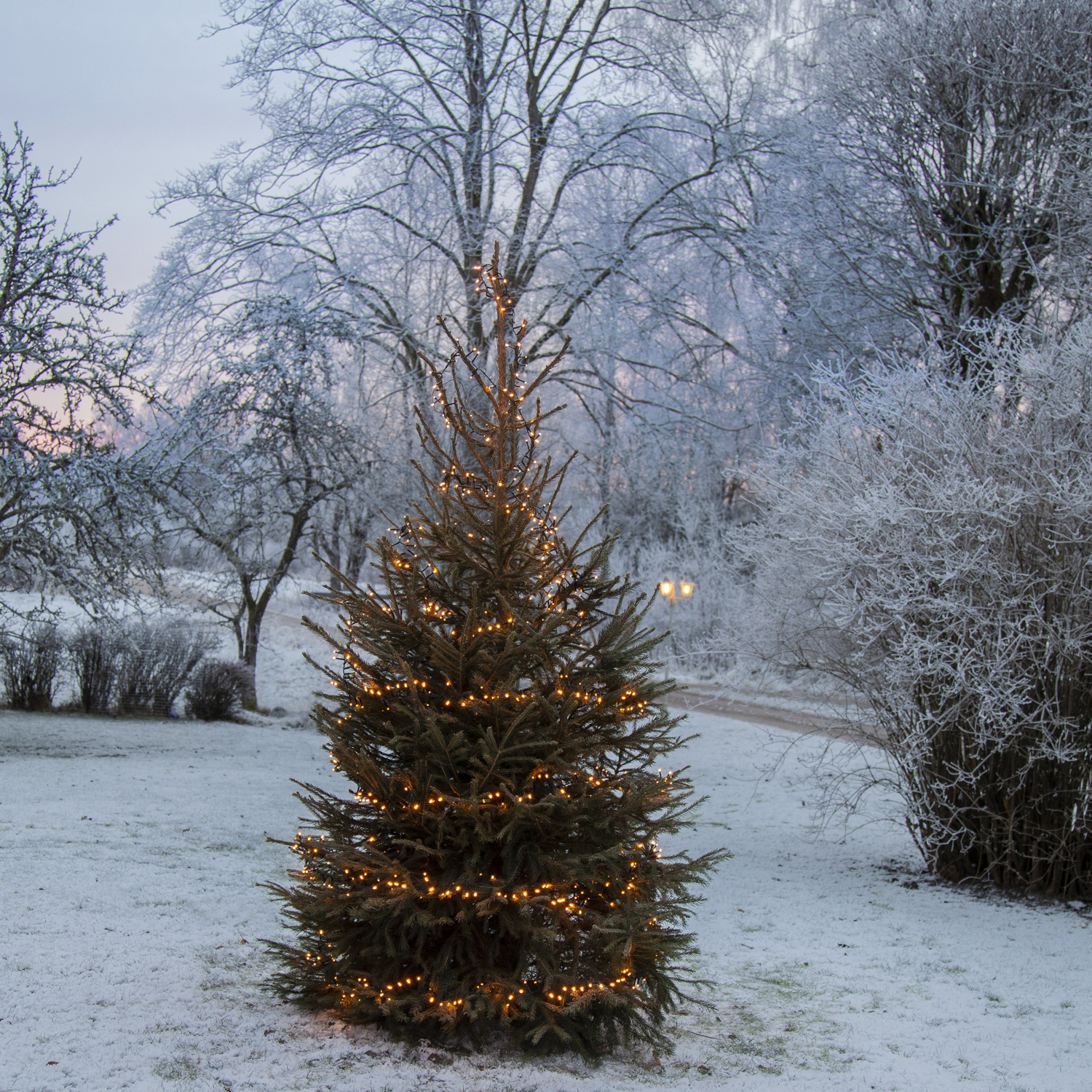 LED Lichterkette - Serie LED - outdoor - 1200 ultra warmweiße LED - L: 24m - schwarzes Kabel LED Lichterkette - Serie LED - outdoor - 1200 ultra warmweiße LED - L: 24m - schwarzes Kabel