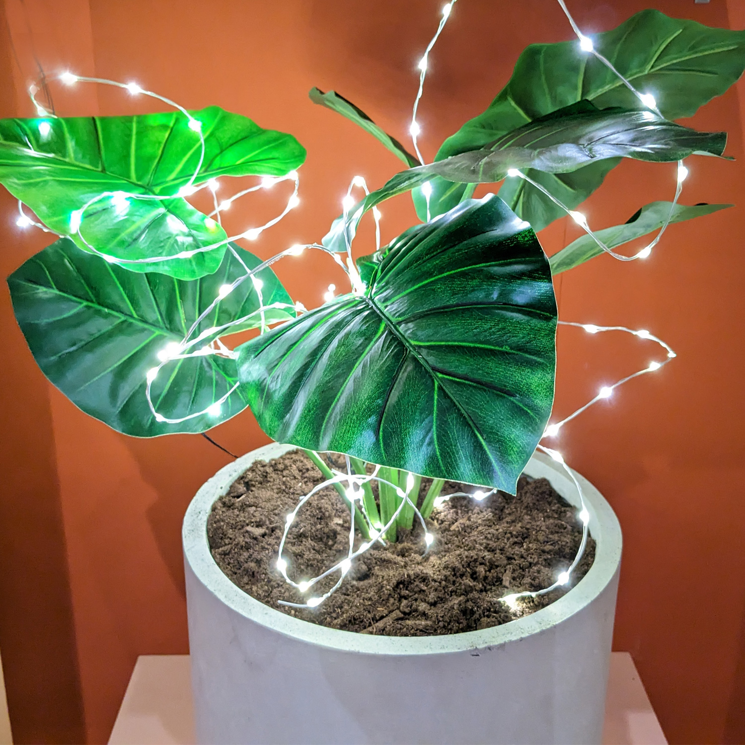 LED Draht Lichtbündel - Pflanzenbeleuchtung - 60 warmweiße LED - L: 80cm - Timer - Batterie - silber LED Draht Lichtbündel - Pflanzenbeleuchtung - 60 warmweiße LED - L: 80cm - Timer - Batterie - silber