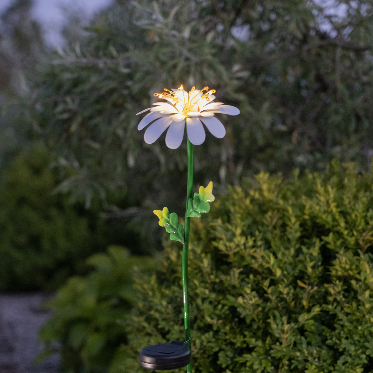 LED Solarstab "Gänseblümchen" - 10 warmweiße Dew Drop LED - H: 77cm - Dämmerungssensor LED Solarstab "Gänseblümchen" - 10 warmweiße Dew Drop LED - H: 77cm - Dämmerungssensor