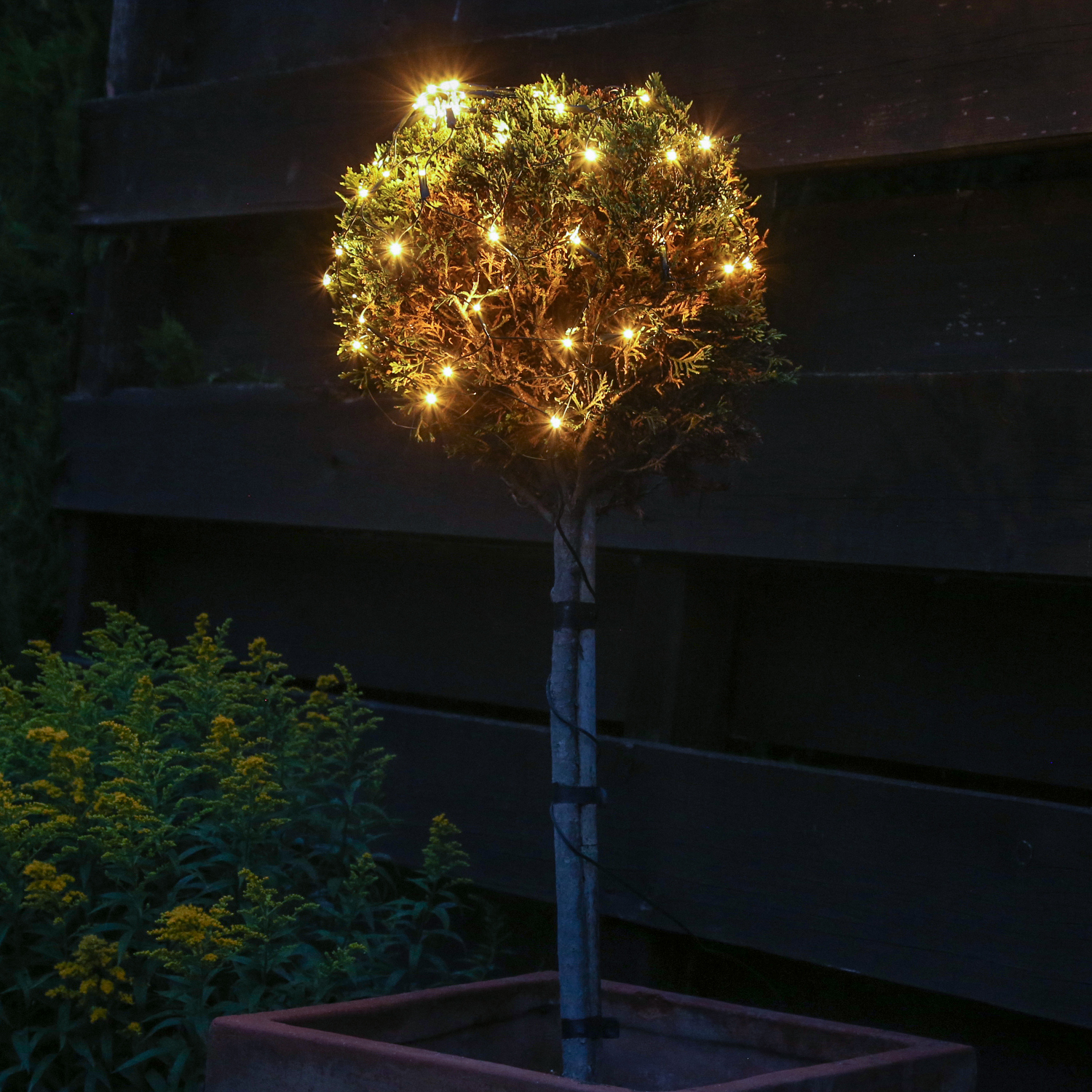 LED Lichternetz für Buchsbaum - Kugelnetz - 80 warmweiße LED - 24V Außentrafo - D: 50cm - grün LED Lichternetz für Buchsbaum - Kugelnetz - 80 warmweiße LED - 24V Außentrafo - D: 50cm - grün
