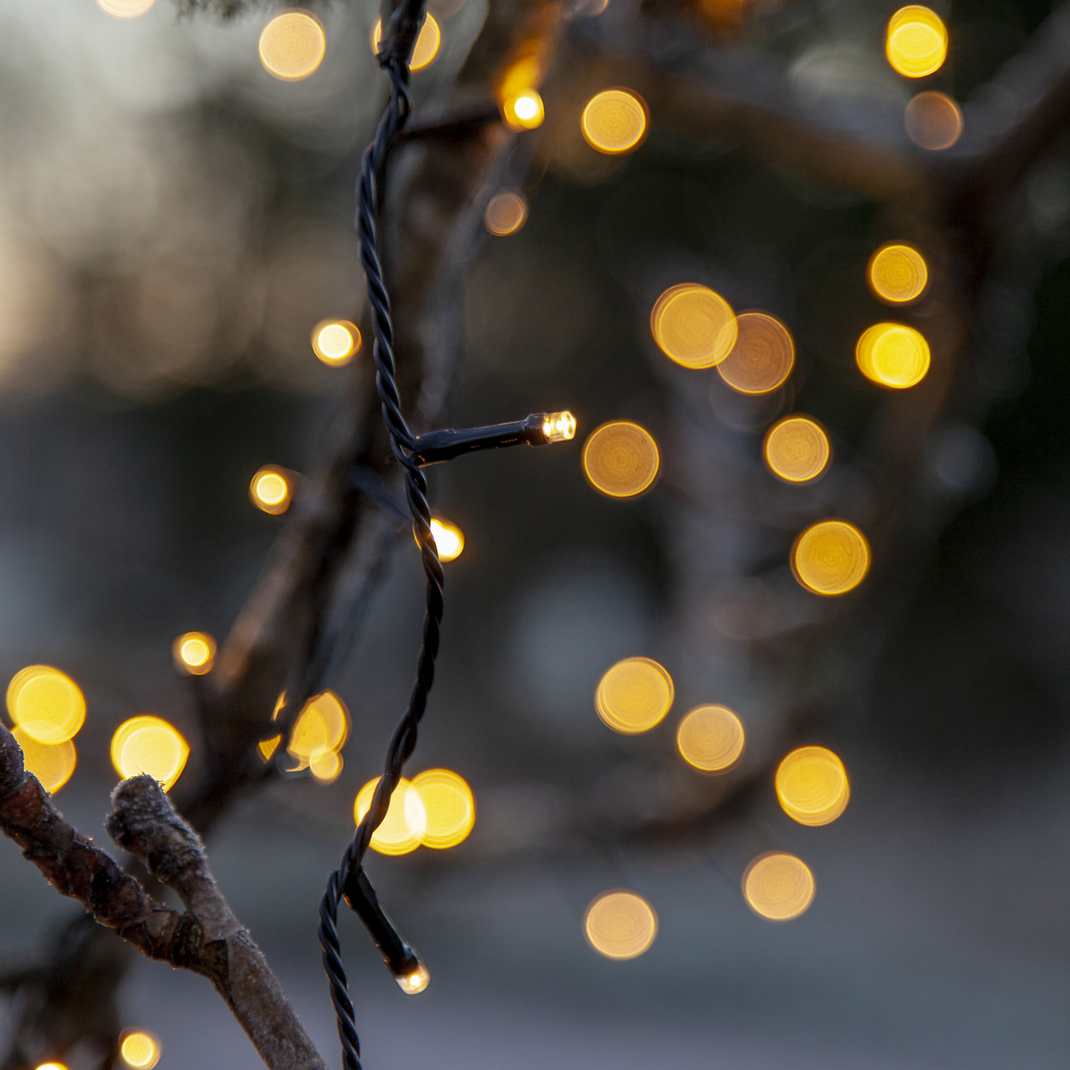 LED Lichterkette - Weihnachtslichterkette - 360 bernstein LED - L: 27m - 8 Modi/ Timer - für Außen