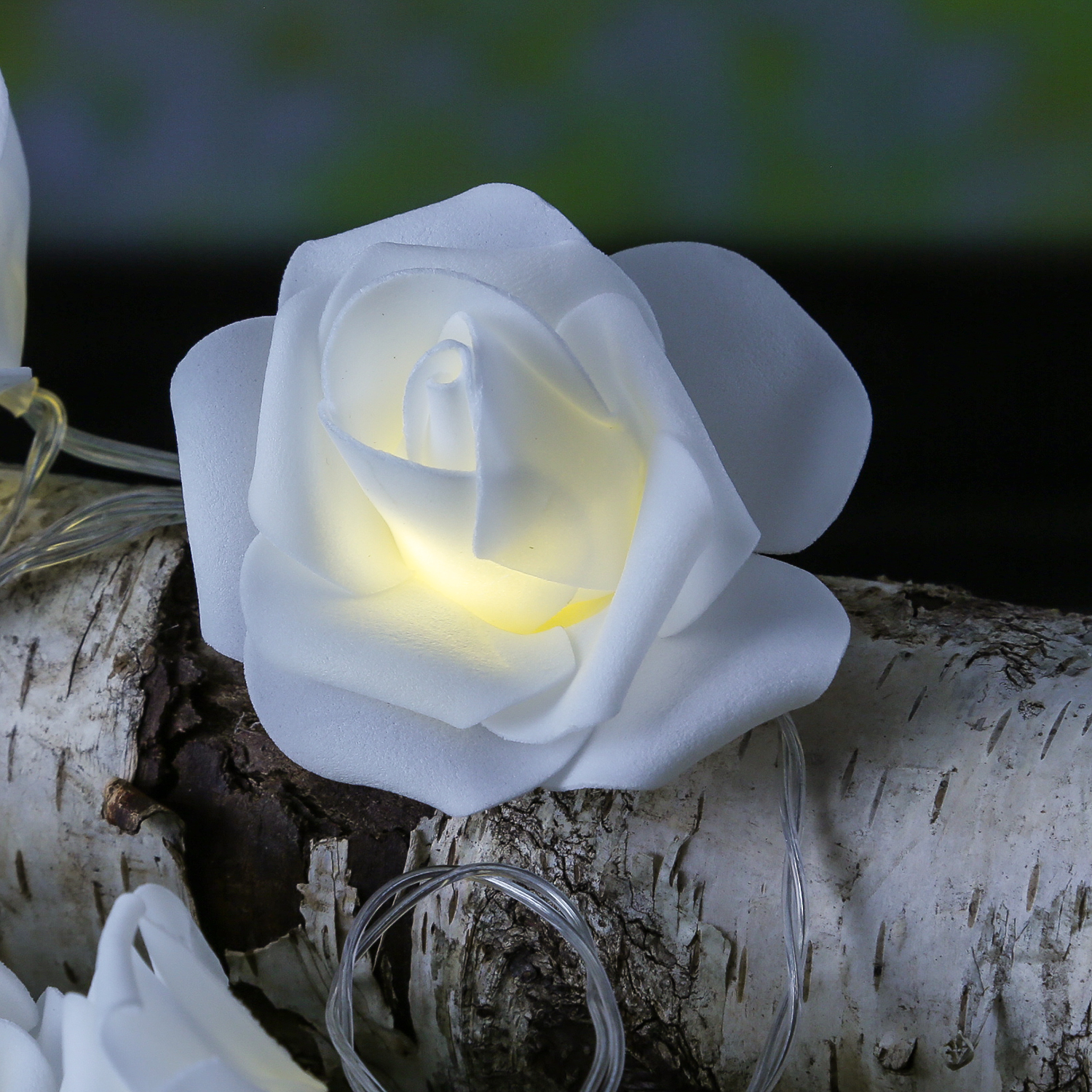 LED Lichterkette Rosen - 10 leuchtende Rosen - Timer - Batteriebetrieb - L: 1,8m - für Innen - weiß