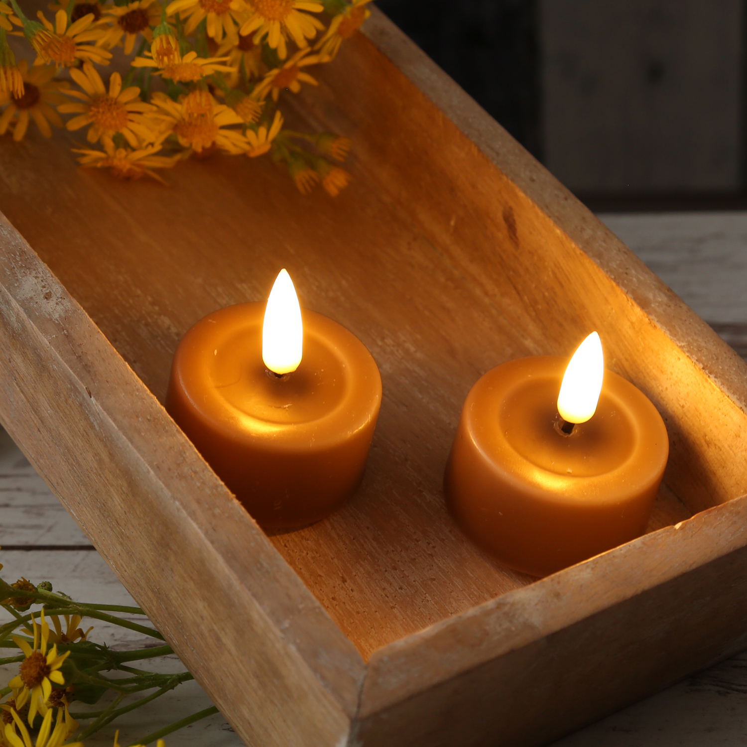 LED Teelichter MIA - Kunststoff - realistische 3D Flamme - D: 4,1cm - karamell - 2 Stk LED Teelichter MIA - Kunststoff - realistische 3D Flamme - D: 4,1cm - karamell - 2 Stk