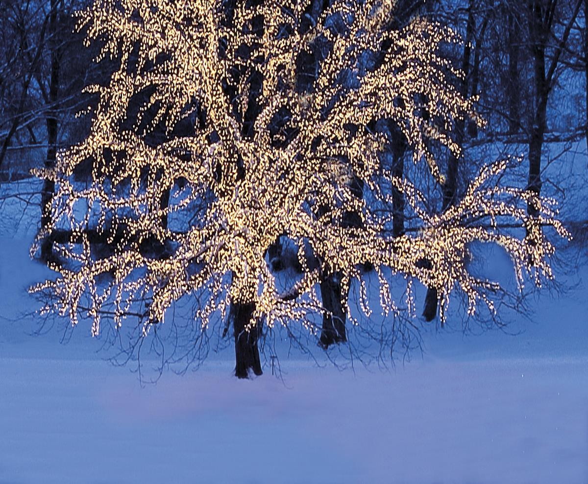 System LED Black | Lichtvorhang | koppelbar | exkl. Trafo | 1.00m x 4.00m | 204x Warmweiß