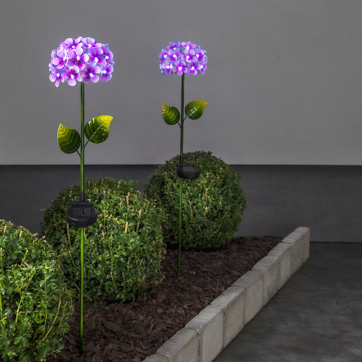 LED Solarstab "Hortensie" - pink - 27 kaltweiße LED - H: 77cm, D: 16cm - Dämmerungssensor LED Solarstab "Hortensie" - pink - 27 kaltweiße LED - H: 77cm, D: 16cm - Dämmerungssensor