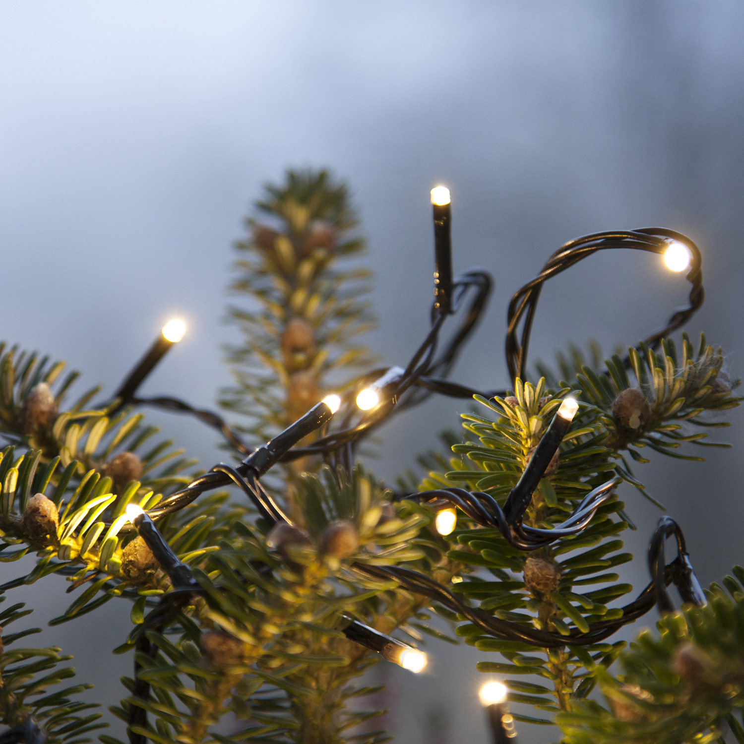 Lichterkette | Serie MICROLED 3mm | 18m | schwarzes Kabel | 180 warmweiße LEDs | Trafo Lichterkette | Serie MICROLED 3mm | 18m | schwarzes Kabel | 180 warmweiße LEDs | Trafo