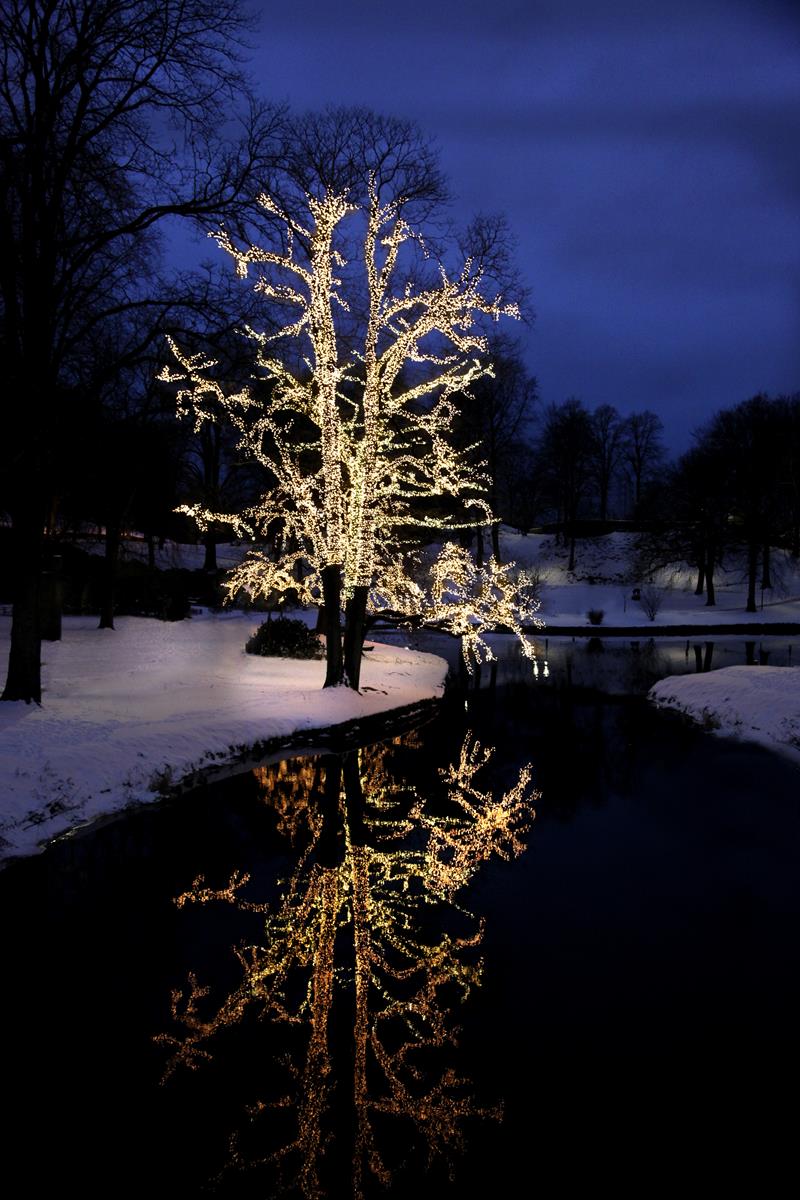 System LED Black | Lichterkette | koppelbar | exkl. Trafo | 5.00m | 50x Warmweiß