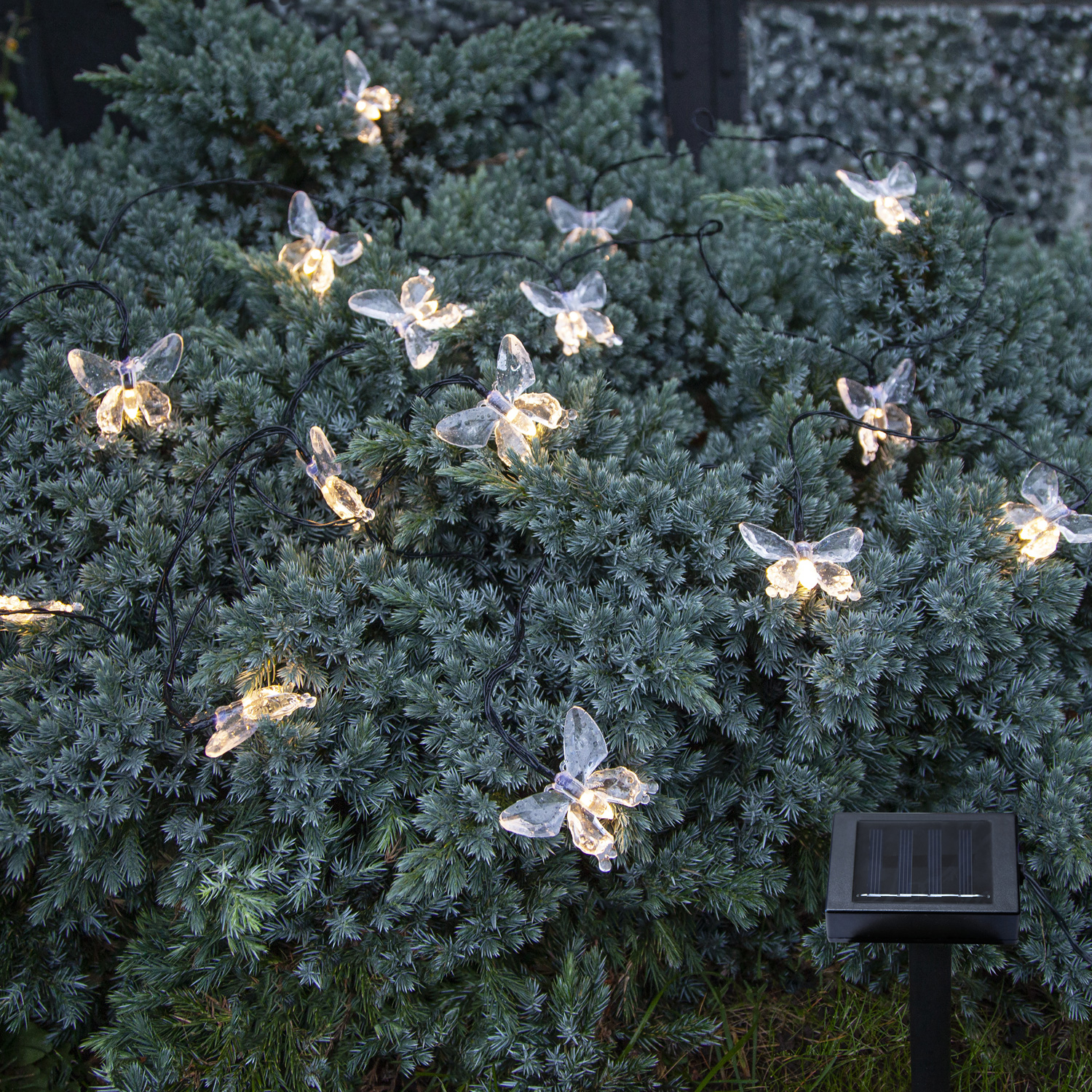 LED Solar Lichterkette Schmetterlinge - 15 warmweiße LED - L: 2,8m - Lichtsensor - transparent LED Solar Lichterkette Schmetterlinge - 15 warmweiße LED - L: 2,8m - Lichtsensor - transparent