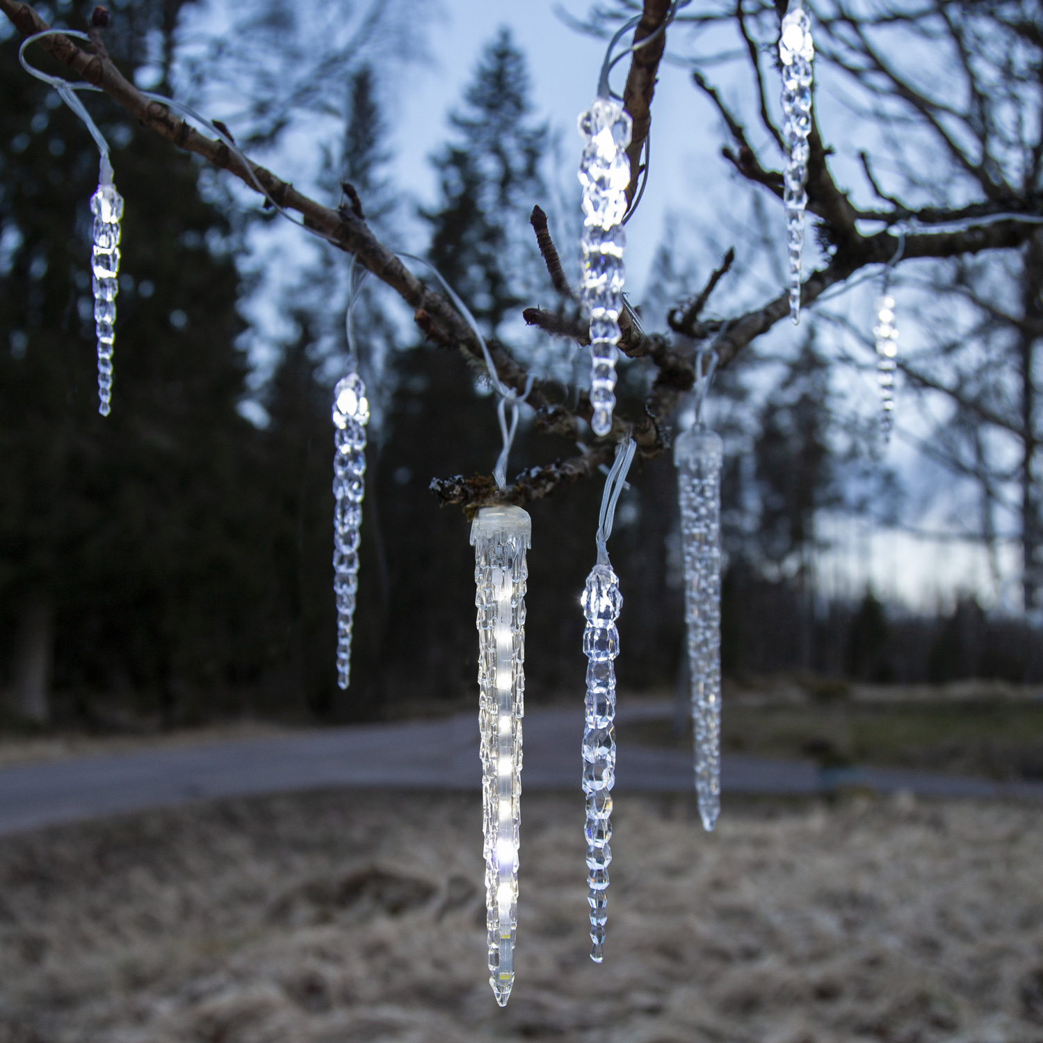LED Lichterkette Eiszapfen - 24 Eiszapfen - Dauer-und Lauflicht - Außentrafo - L: 7m - transparent LED Lichterkette Eiszapfen - 24 Eiszapfen - Dauer-und Lauflicht - Außentrafo - L: 7m - transparent