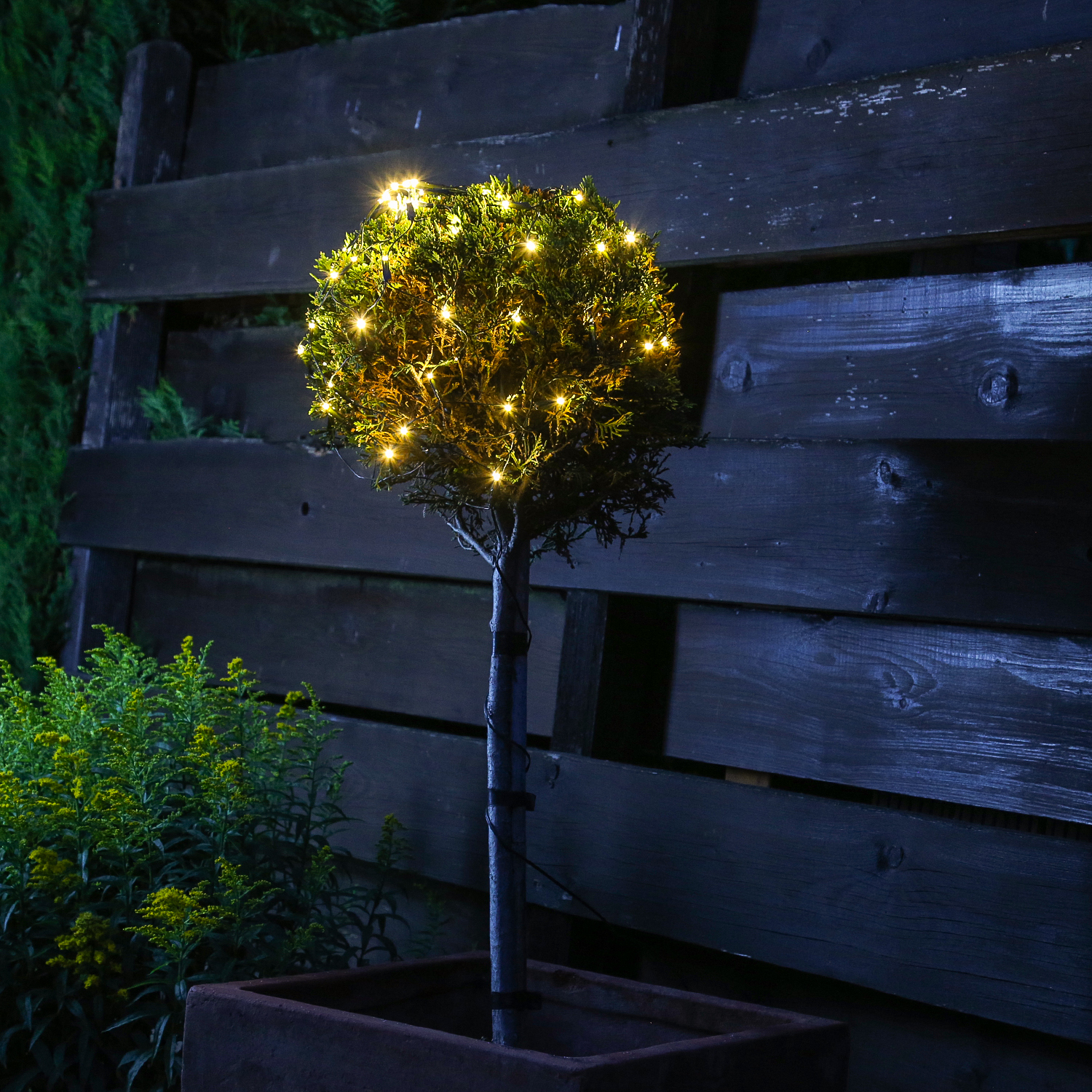 LED Lichternetz Buchsbaum - Blinkfunktion - 60 warmweiße/bernstein LED - D: 35cm - transparent