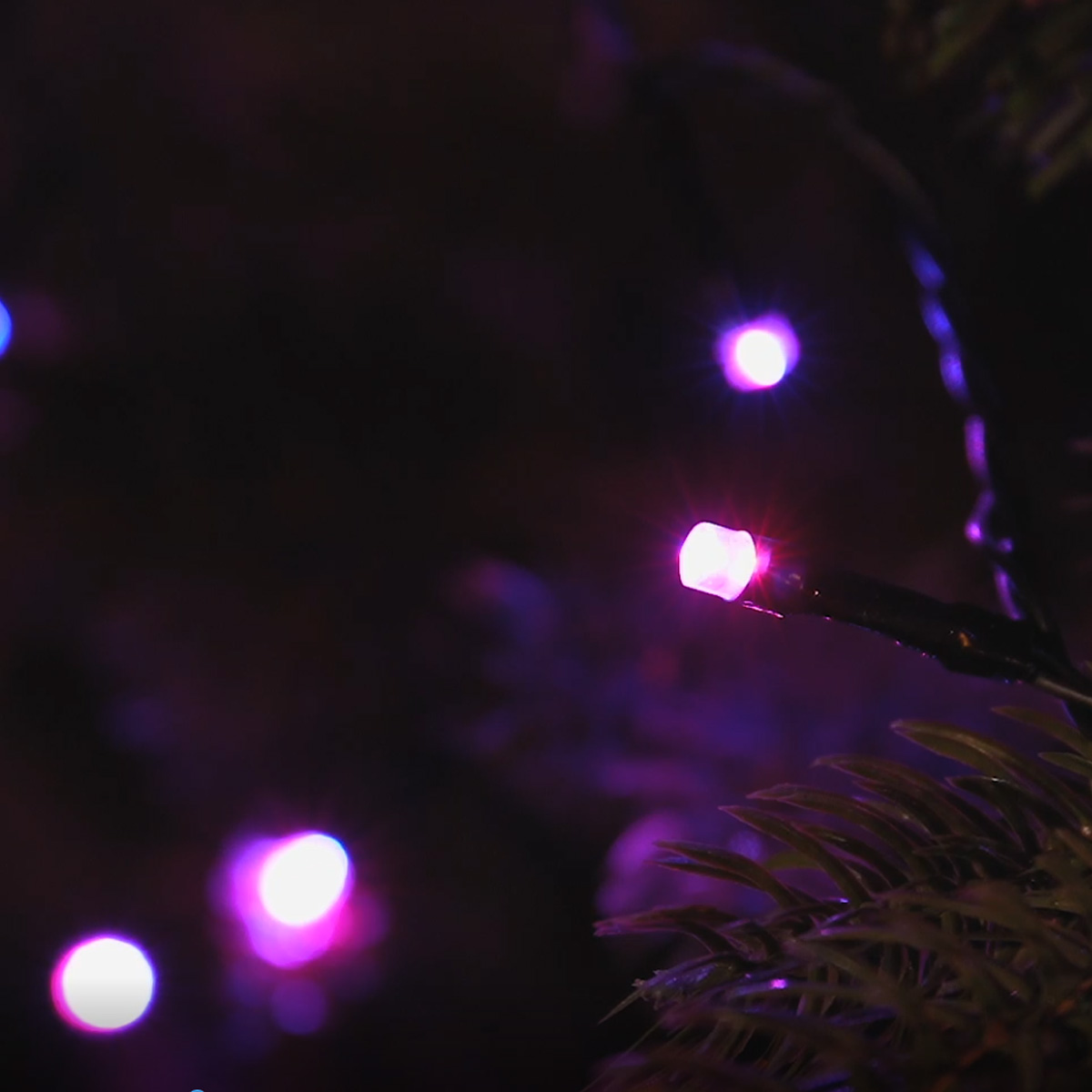 LED Lichterkette - App gesteuert - 200 farbwechselnde LED - viele Funktionen - L: 19,9m - grün LED Lichterkette - App gesteuert - 200 farbwechselnde LED - viele Funktionen - L: 19,9m - grün