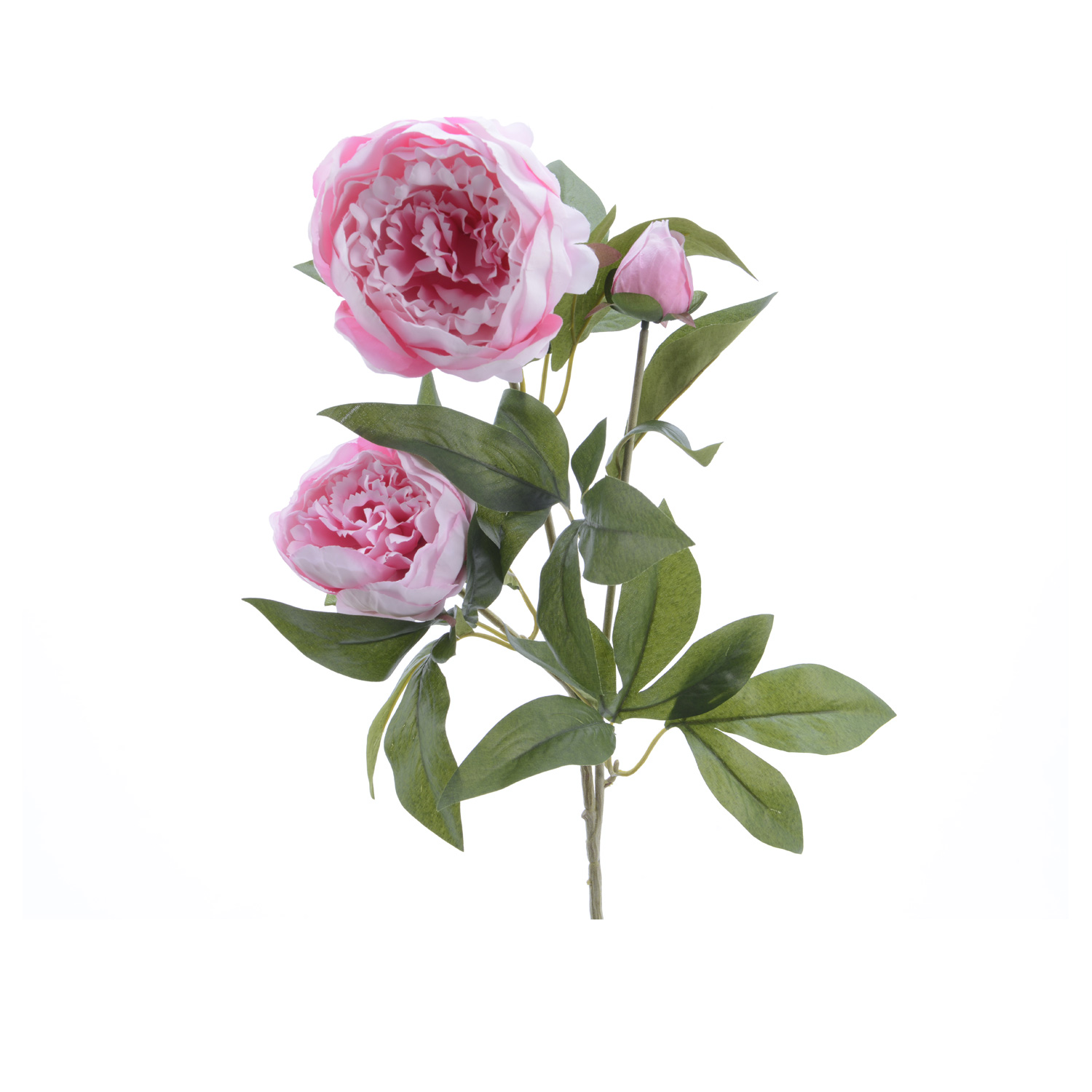 Pfingstrose mit 2 Blüten und Knospe am Stiel - Kunstblume - H: 75cm - rosa Pfingstrose mit 2 Blüten und Knospe am Stiel - Kunstblume - H: 75cm - rosa
