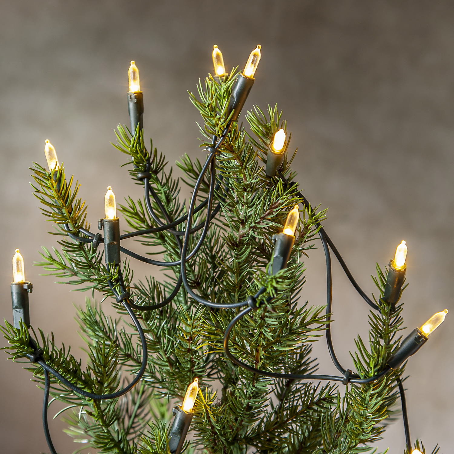 LED Lichterkette Pisello - Weihnachtslichterkette - 35 warmweiße LED - L: 5,1m - für Innen