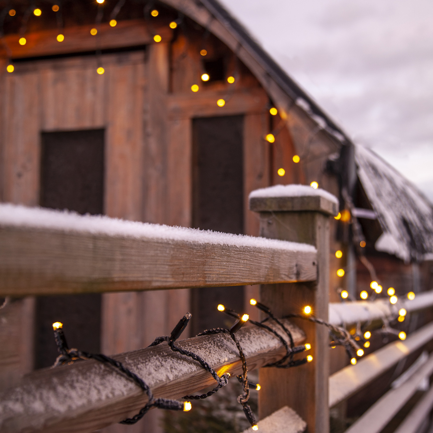 System 24 LED Lichtervorhang Eisregen mit Glitzereffekt - 3x0,4m - 49WW LED - koppelbar - ohne Trafo System 24 LED Lichtervorhang Eisregen mit Glitzereffekt - 3x0,4m - 49WW LED - koppelbar - ohne Trafo