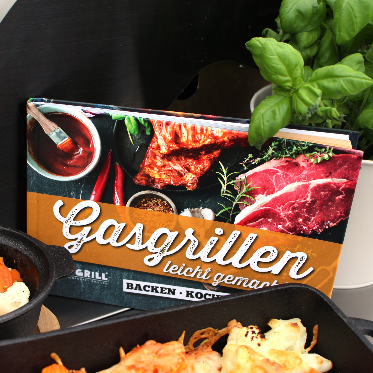 ALL`GRILL Grillbuch - Gasgrillen leicht gemacht - über 125 Rezepte