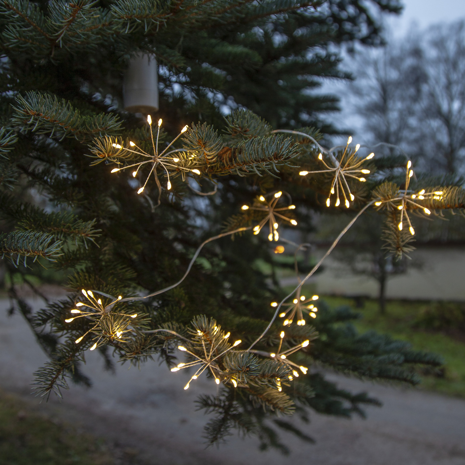 LED Lichterkette Dew Drop Blume - 96 Tautropfen LED - 8 Blüten - L: 2,1m - Timer - Batterie - Außen LED Lichterkette Dew Drop Blume - 96 Tautropfen LED - 8 Blüten - L: 2,1m - Timer - Batterie - Außen