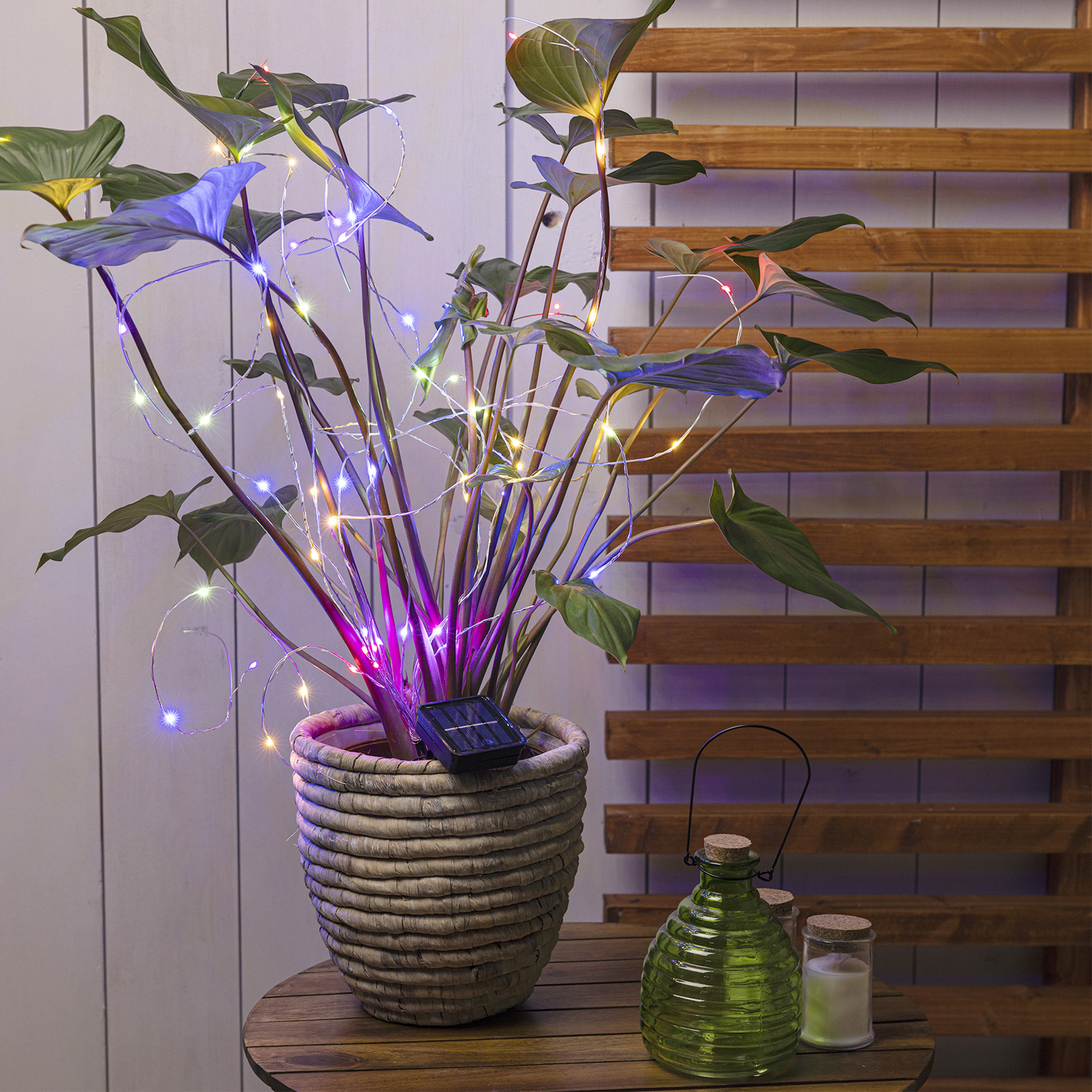 LED Solar Draht Lichtbündel - Pflanzenbeleuchtung - 60 bunte LED - L: 80cm - für Außen - silber LED Solar Draht Lichtbündel - Pflanzenbeleuchtung - 60 bunte LED - L: 80cm - für Außen - silber