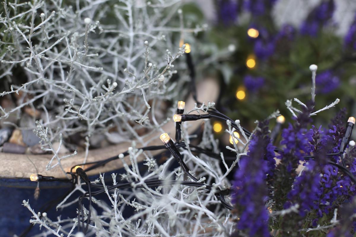 System DECOR | Lichterkette 5m | koppelbar | schwarzes Kabel | 50 warmweiße LEDs