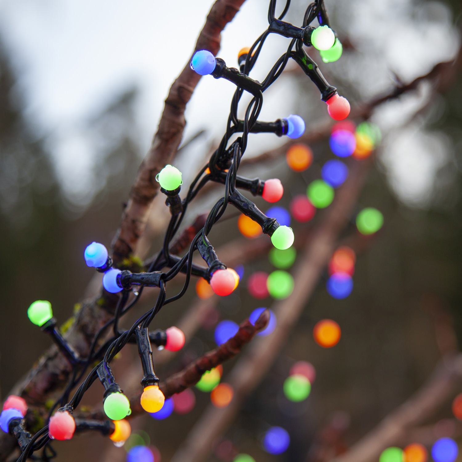 LED Lichterkette Berry Mini - 300 bunte opale LED - 6m - 8 Funktionen - Trafo - Timer - outdoor LED Lichterkette Berry Mini - 300 bunte opale LED - 6m - 8 Funktionen - Trafo - Timer - outdoor