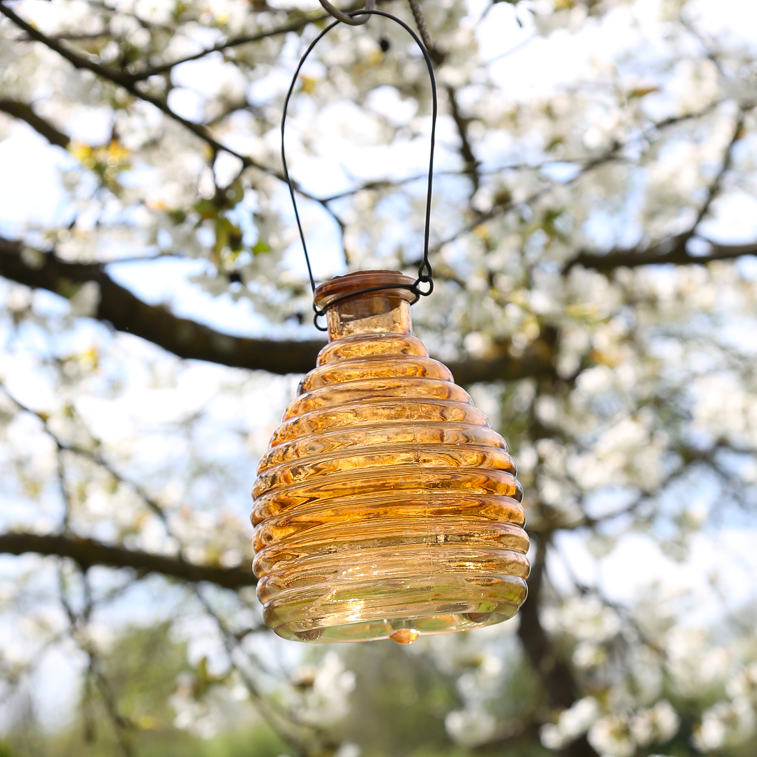 Wespenfänger HONIGTOPF - Wespenfalle - geriffeltes Glas - D: 13cm - H: 17cm