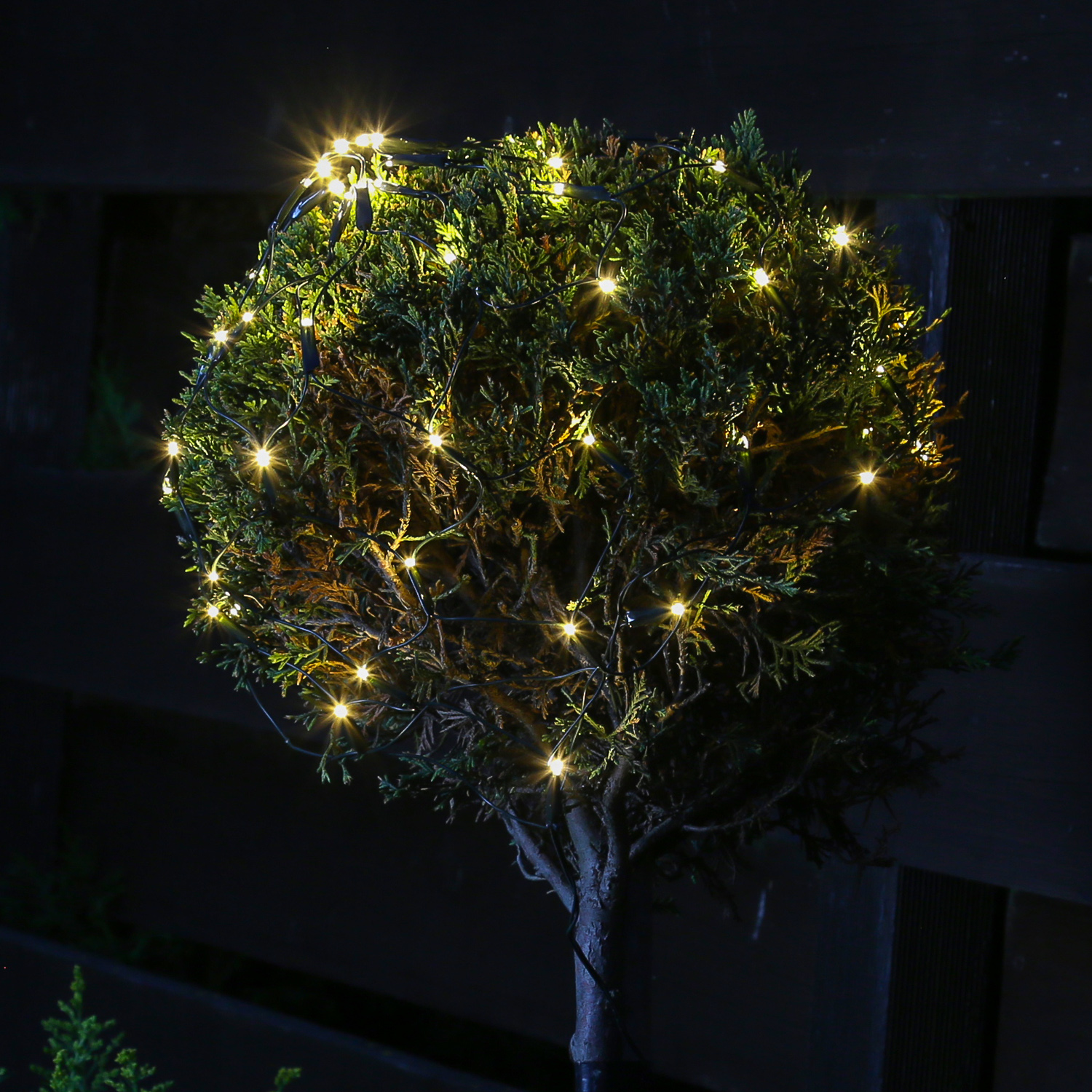 LED Lichternetz Buchsbaum - 128 warmweiße LED - D: 80cm - 8 Funktionen - Timer - Batterie - schwarz LED Lichternetz Buchsbaum - 128 warmweiße LED - D: 80cm - 8 Funktionen - Timer - Batterie - schwarz