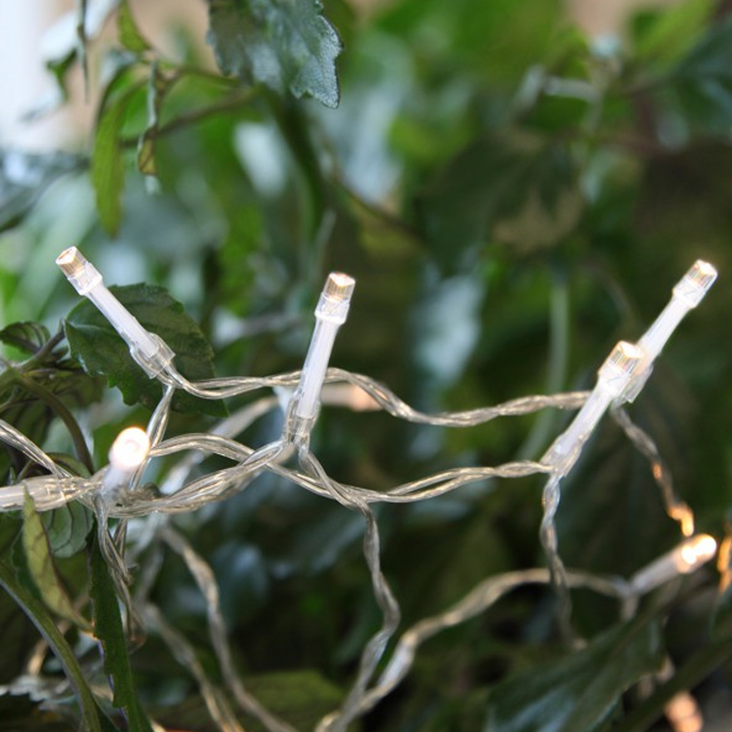 LED Lichterkette - 50 Hellweiße LED - L: 7,5m - Batterie  - Indoor - transparentes Kabel LED Lichterkette - 50 Hellweiße LED - L: 7,5m - Batterie  - Indoor - transparentes Kabel