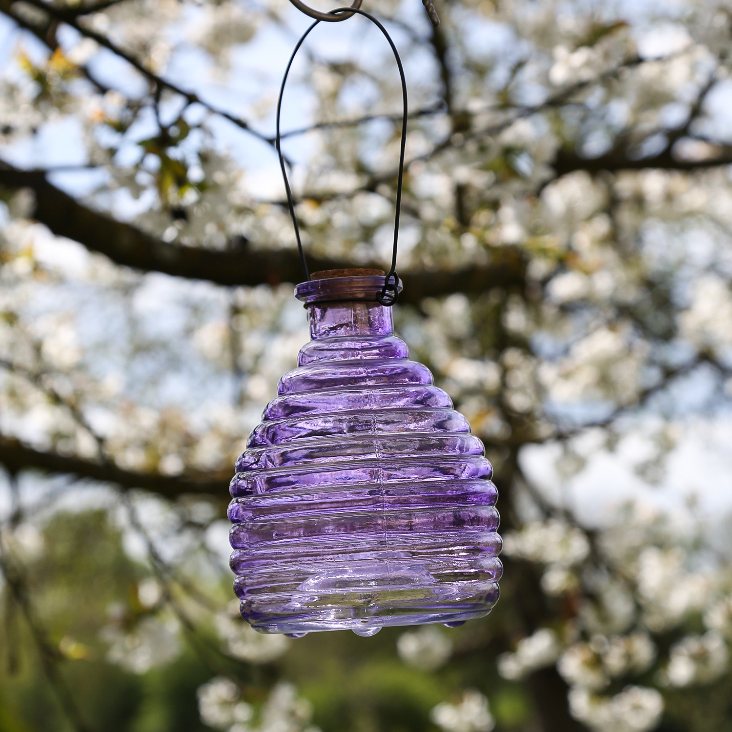 Wespenfänger HONIGTOPF - Wespenfalle - geriffeltes Glas - D: 13cm - H: 17cm