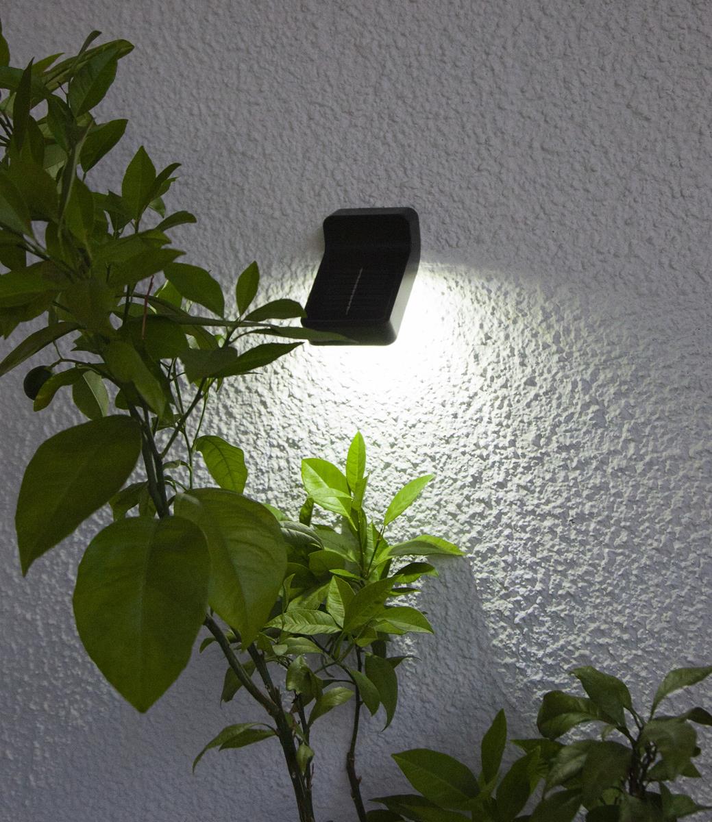 LED Solar Wandleuchte "Wally" - 4 weiße LED - 6h Licht mit 6lm - Dämmerungssensor - schwarz