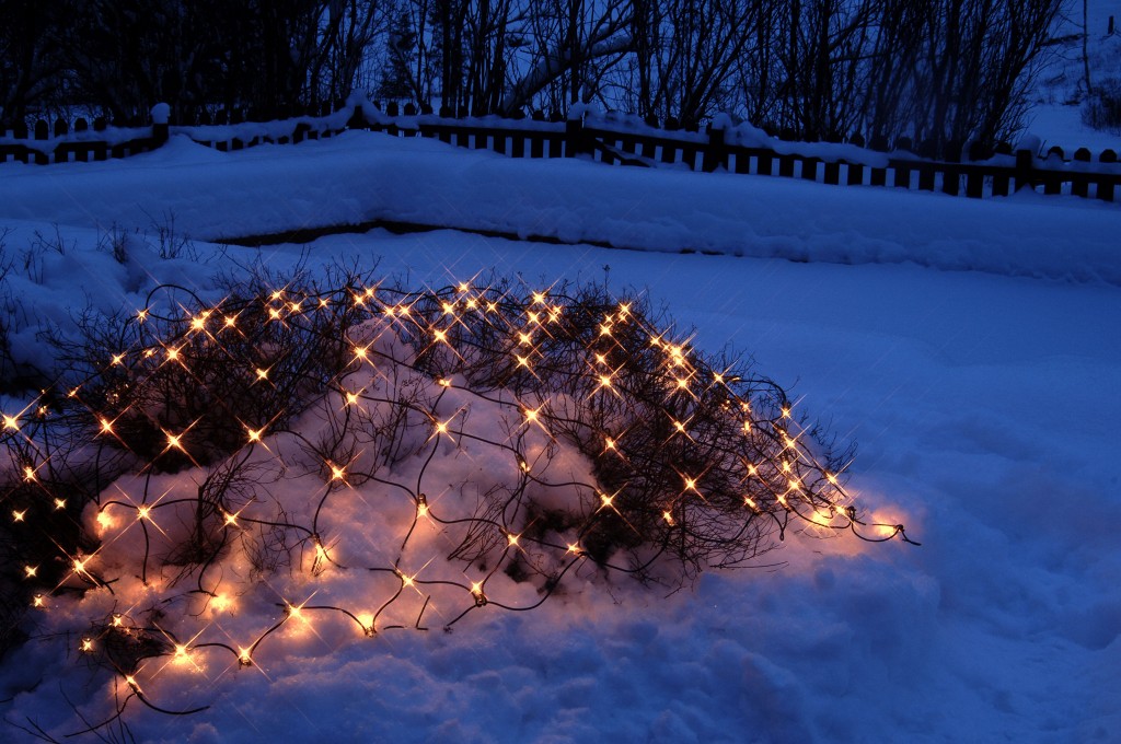 System LED Black | Lichtnetz | koppelbar | exkl. Trafo | 2.00m x 1.00m | 100x Warmweiß