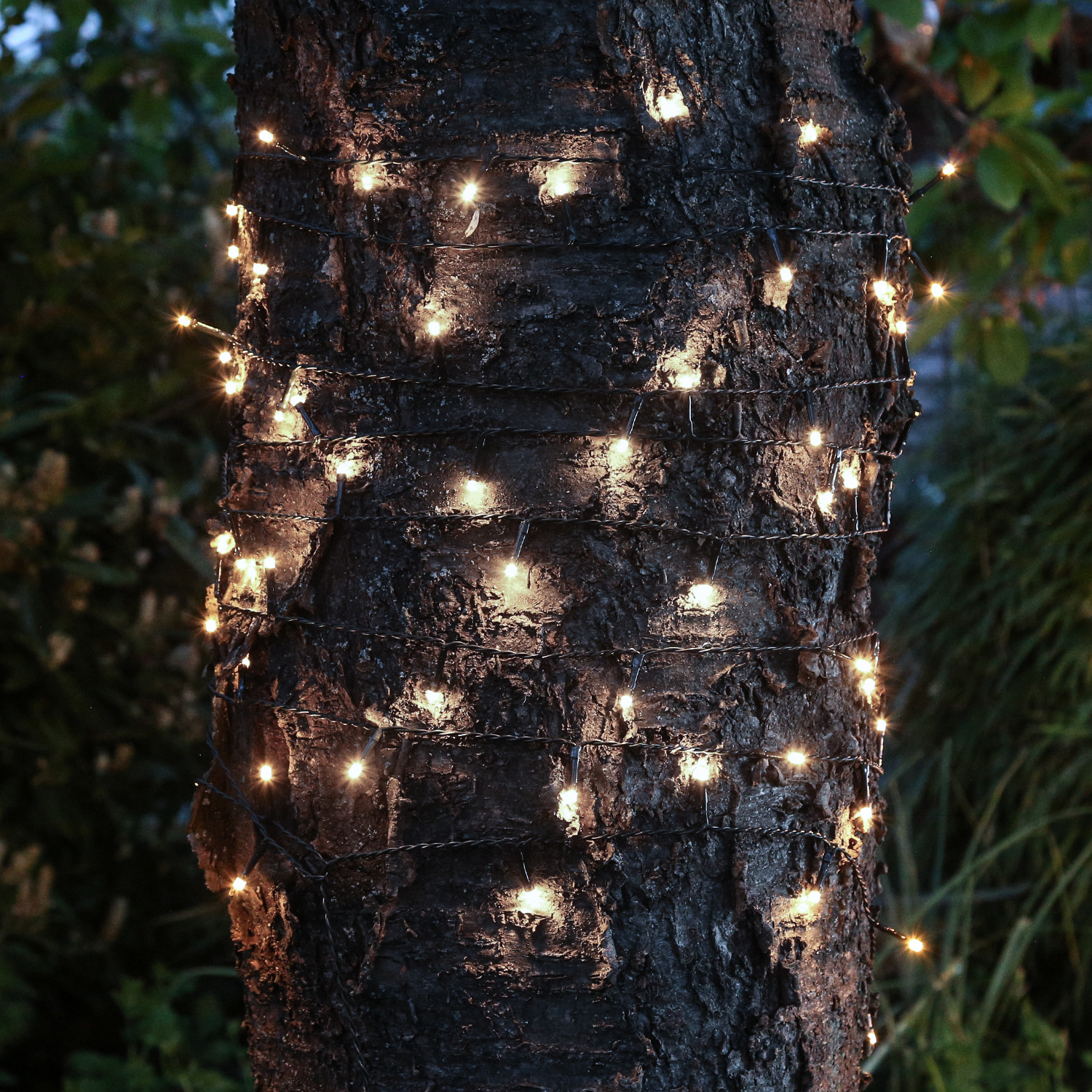 LED Solar Lichterkette - 50 kaltweiße LED - Blinkfunktion - grünes Kabel - Außen - L: 5m LED Solar Lichterkette - 50 kaltweiße LED - Blinkfunktion - grünes Kabel - Außen - L: 5m