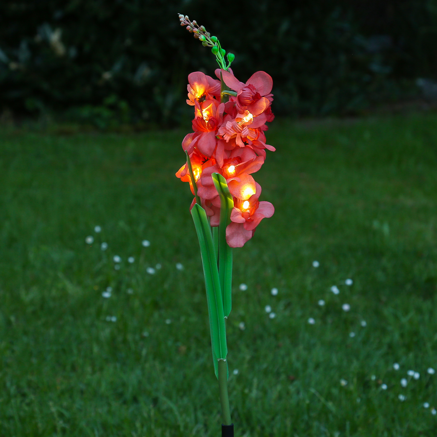 LED Solar Gartenstecker Blume GLADIOLE - 10 warmweiße LED - H: 81cm - Lichtsensor - rot LED Solar Gartenstecker Blume GLADIOLE - 10 warmweiße LED - H: 81cm - Lichtsensor - rot