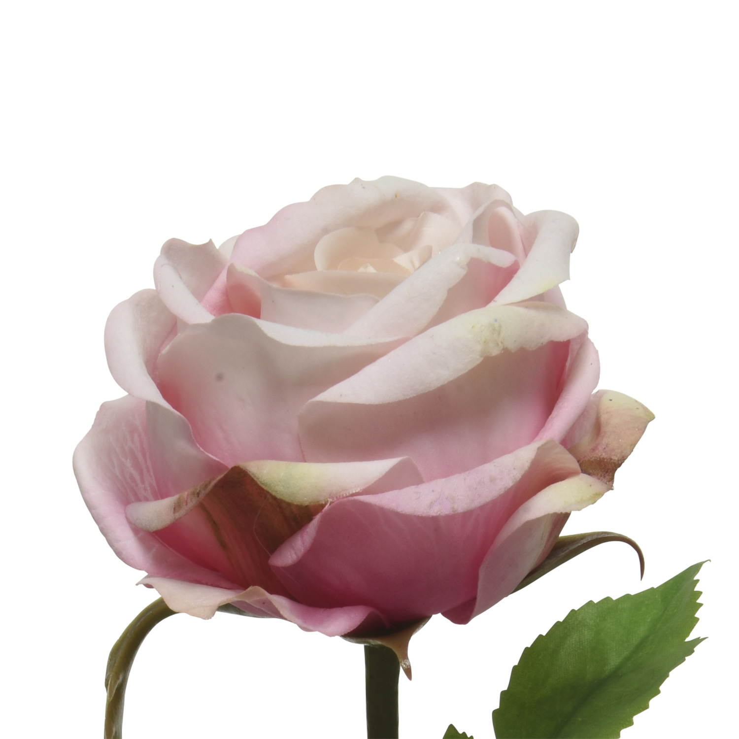 Rose am Stiel - Kunstblume - Real Touch Oberfläche - H: 66cm - rosa Rose am Stiel - Kunstblume - Real Touch Oberfläche - H: 66cm - rosa