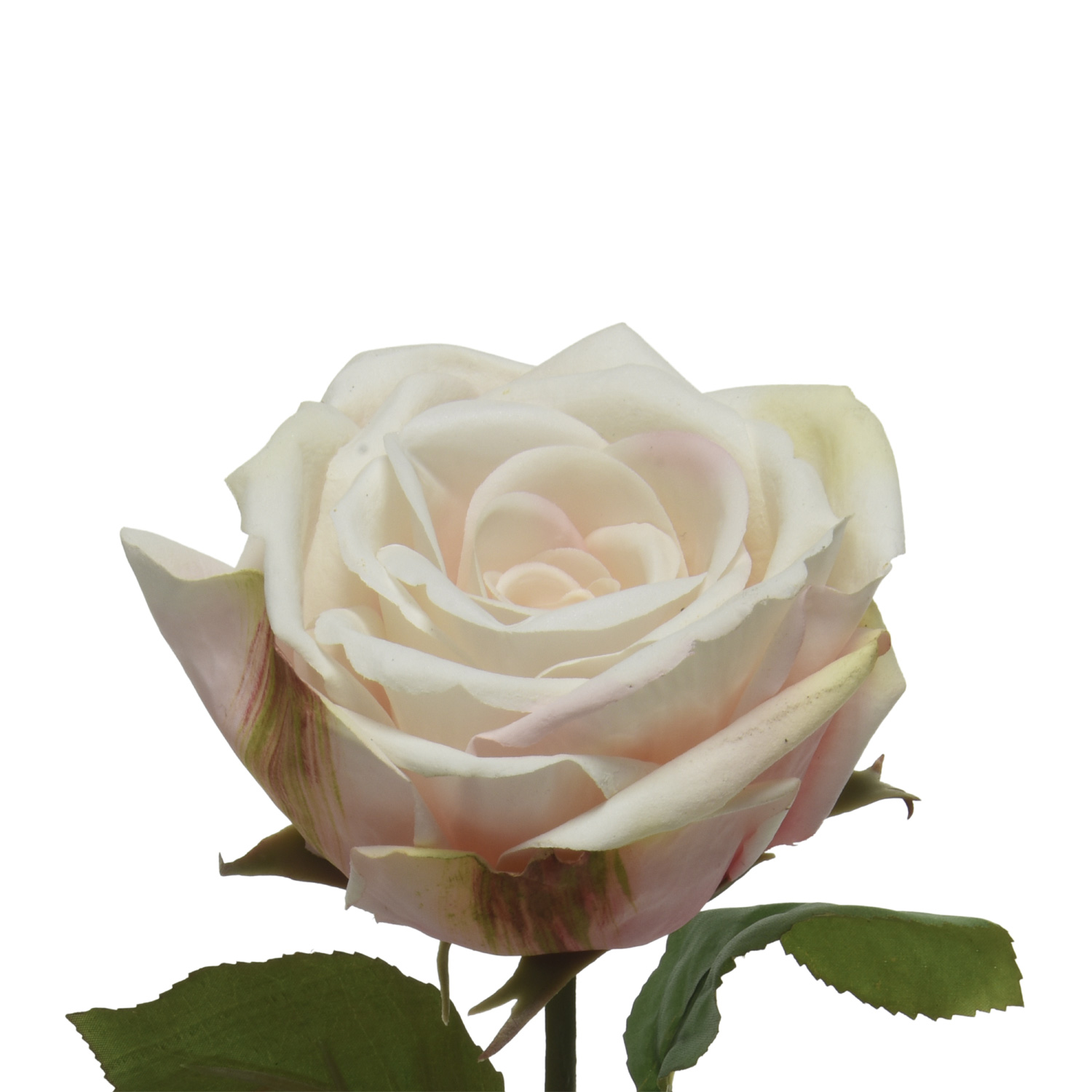 Rose am Stiel - Kunstblume - Real Touch Oberfläche - H: 68cm - creme Rose am Stiel - Kunstblume - Real Touch Oberfläche - H: 68cm - creme