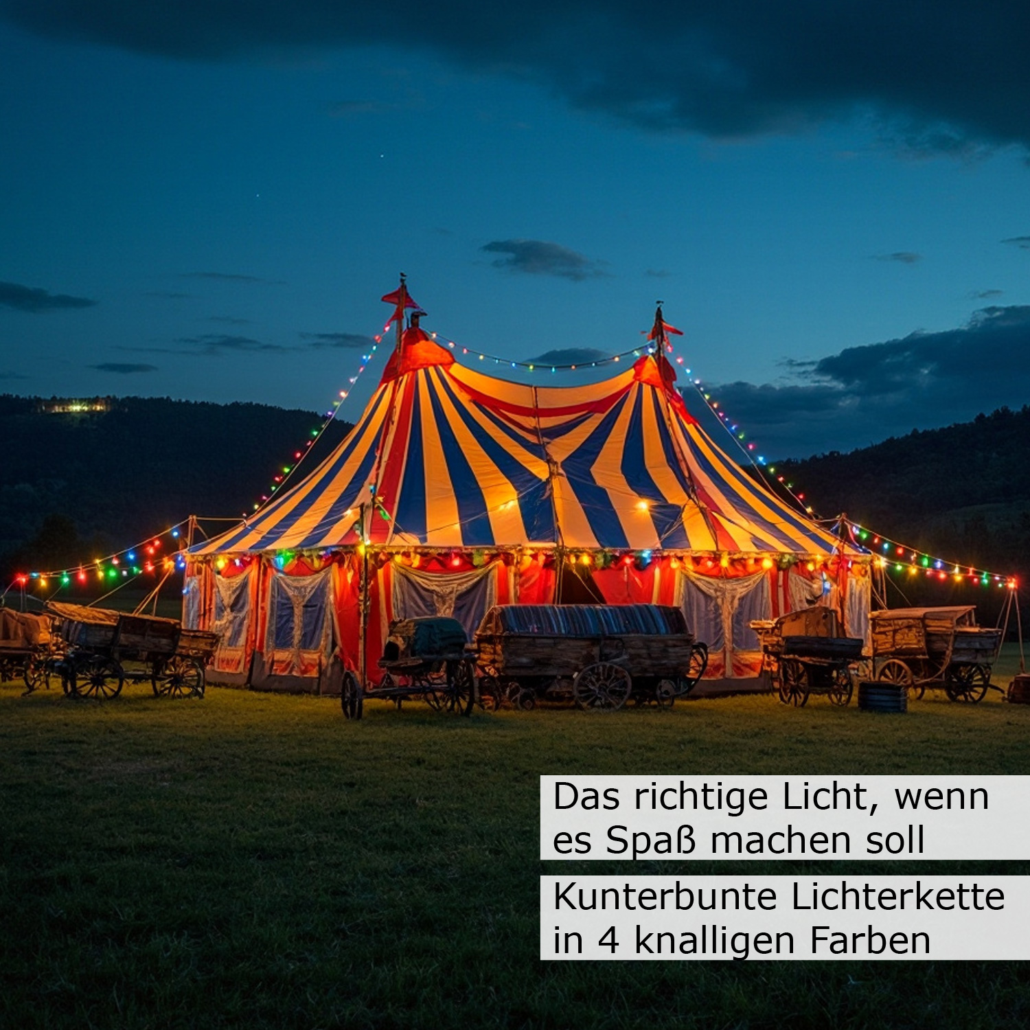 Illu-/Partylichterkette 40m - Außenlichterkette schwarz - Made in Germany 60x bunte LED Tropfenlampe