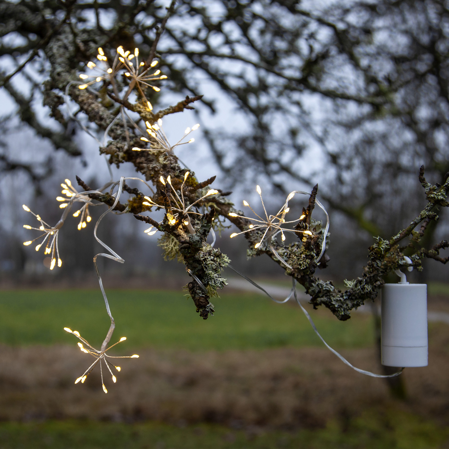 LED Lichterkette Dew Drop Blume - 96 Tautropfen LED - 8 Blüten - L: 2,1m - Timer - Batterie - Außen LED Lichterkette Dew Drop Blume - 96 Tautropfen LED - 8 Blüten - L: 2,1m - Timer - Batterie - Außen