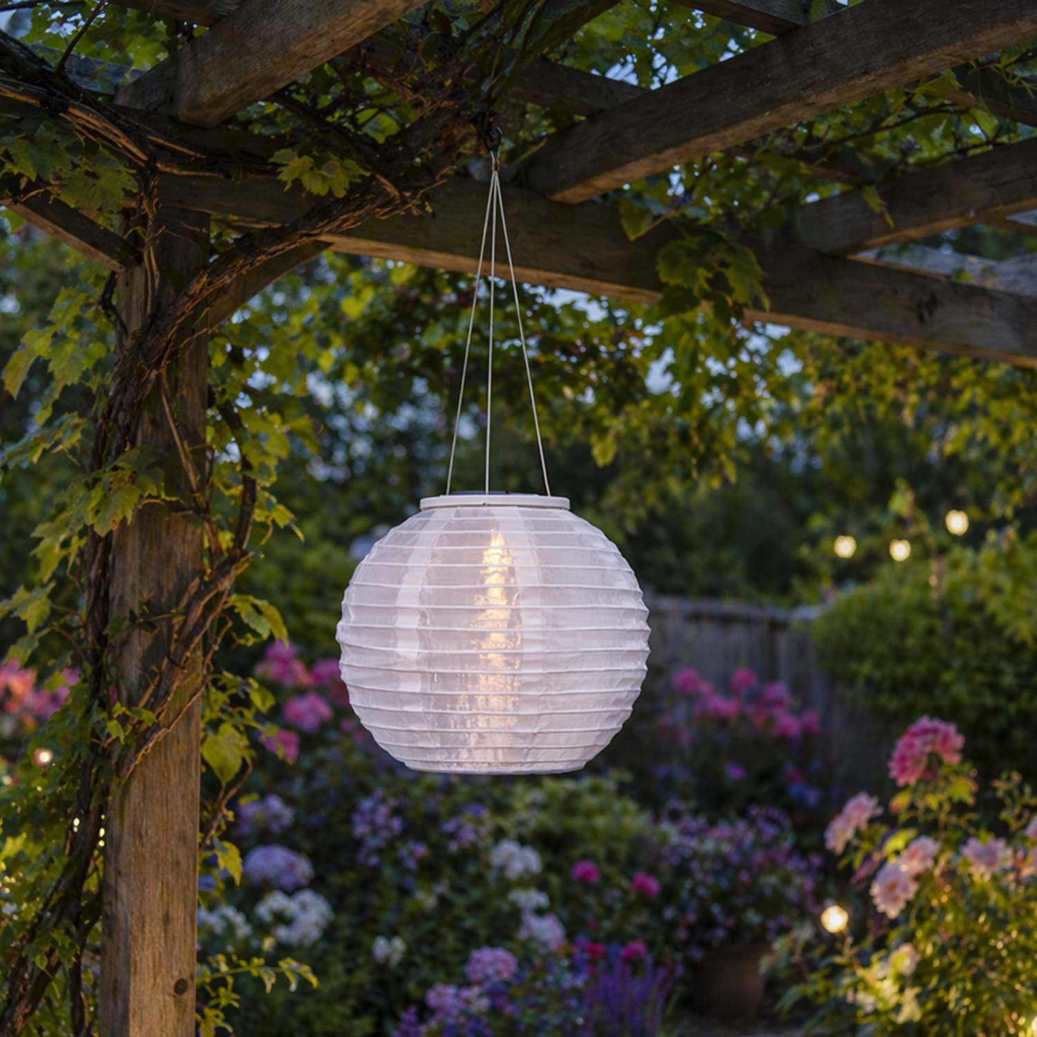 LED Solar Lampions - rund und oval - D: 25cm/35cm - Lichtsensor - weiße Gartenlampions - 2er Set